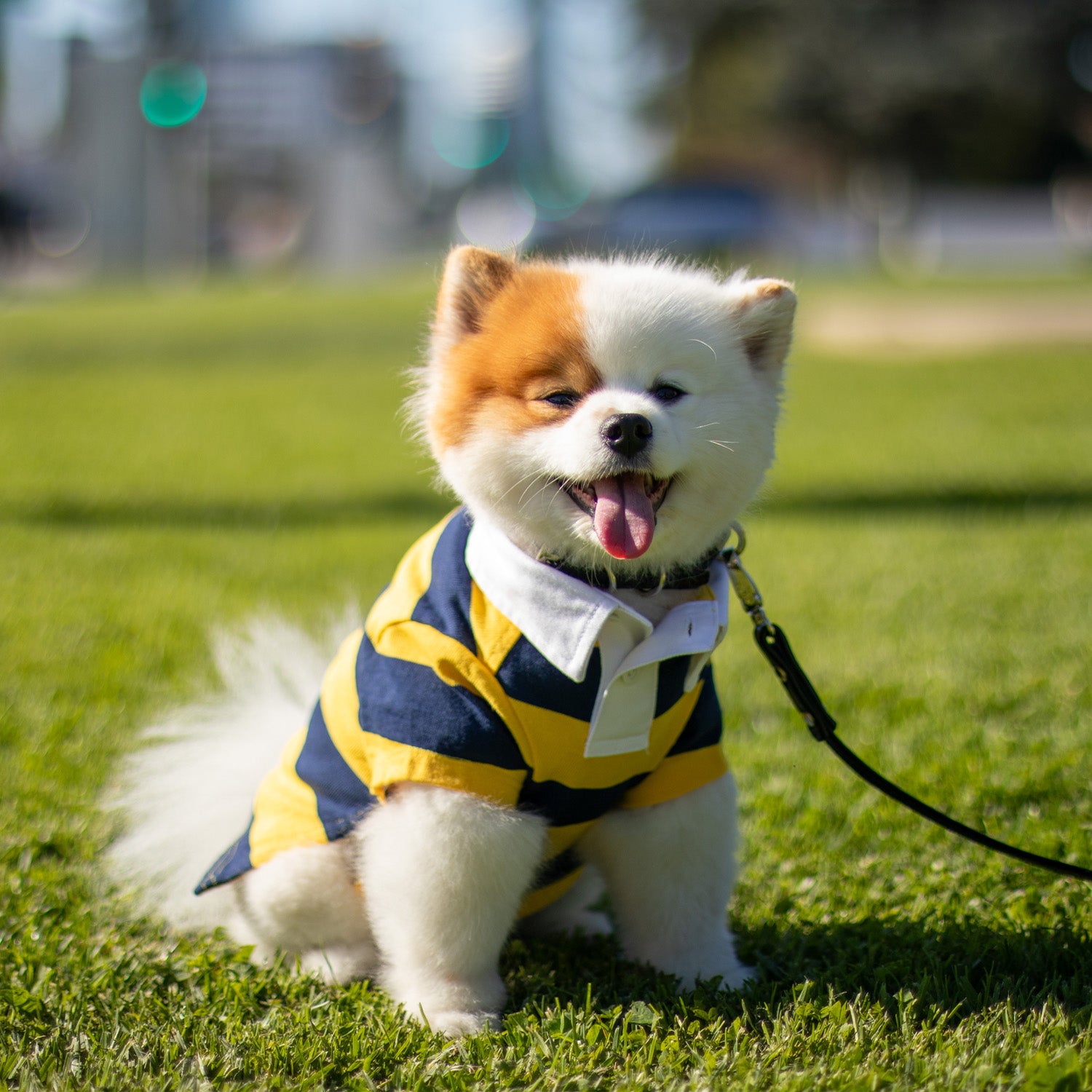 Ralph Lauren Rugby Shirt