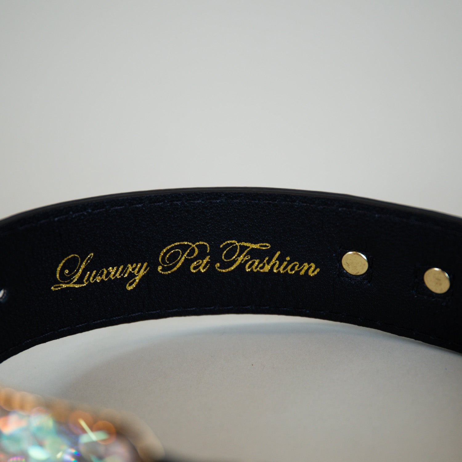 Retro Futuristic Primrose Collars