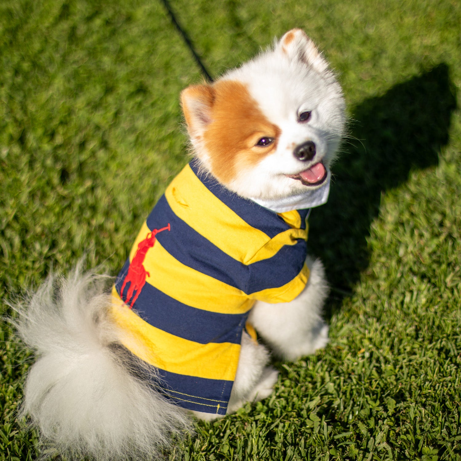 Ralph Lauren Rugby Shirt
