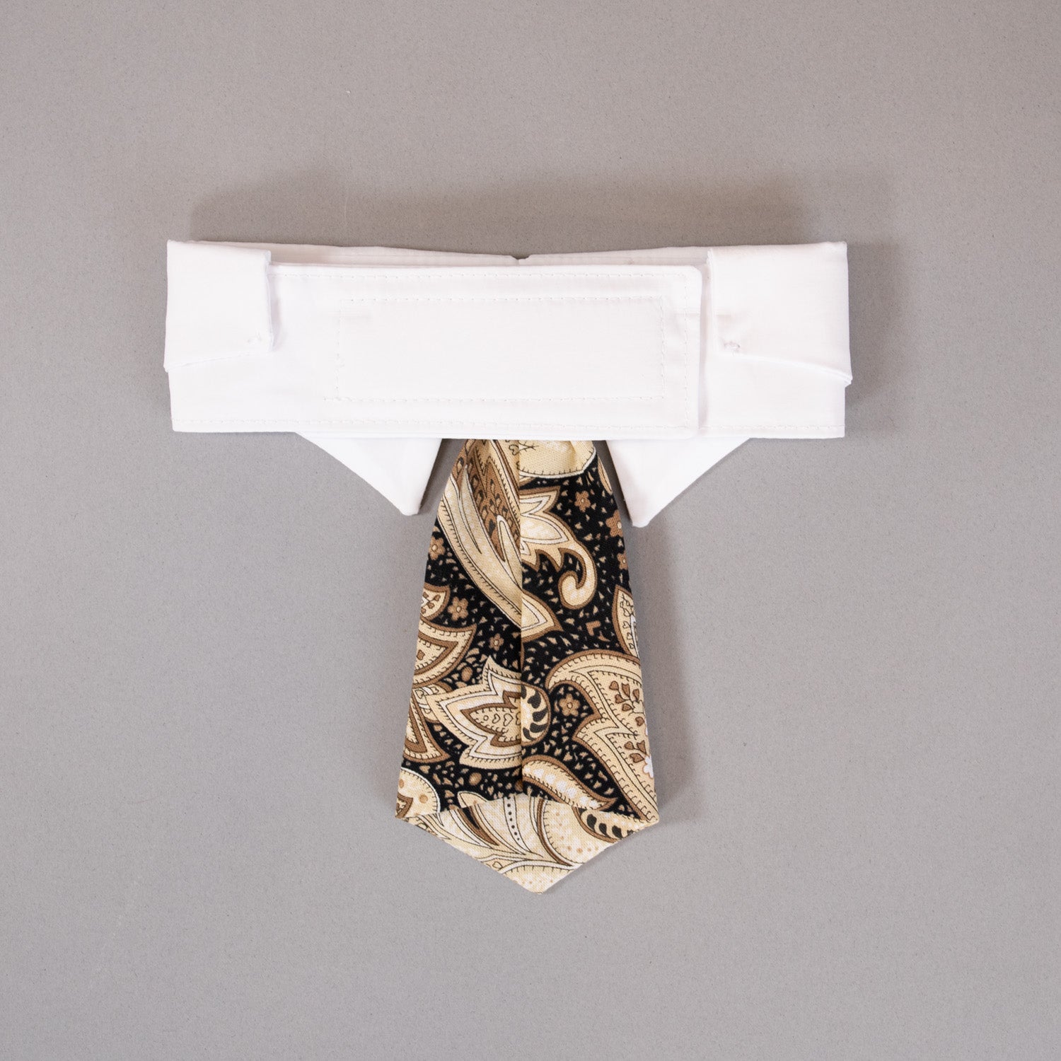 Paisley Tie