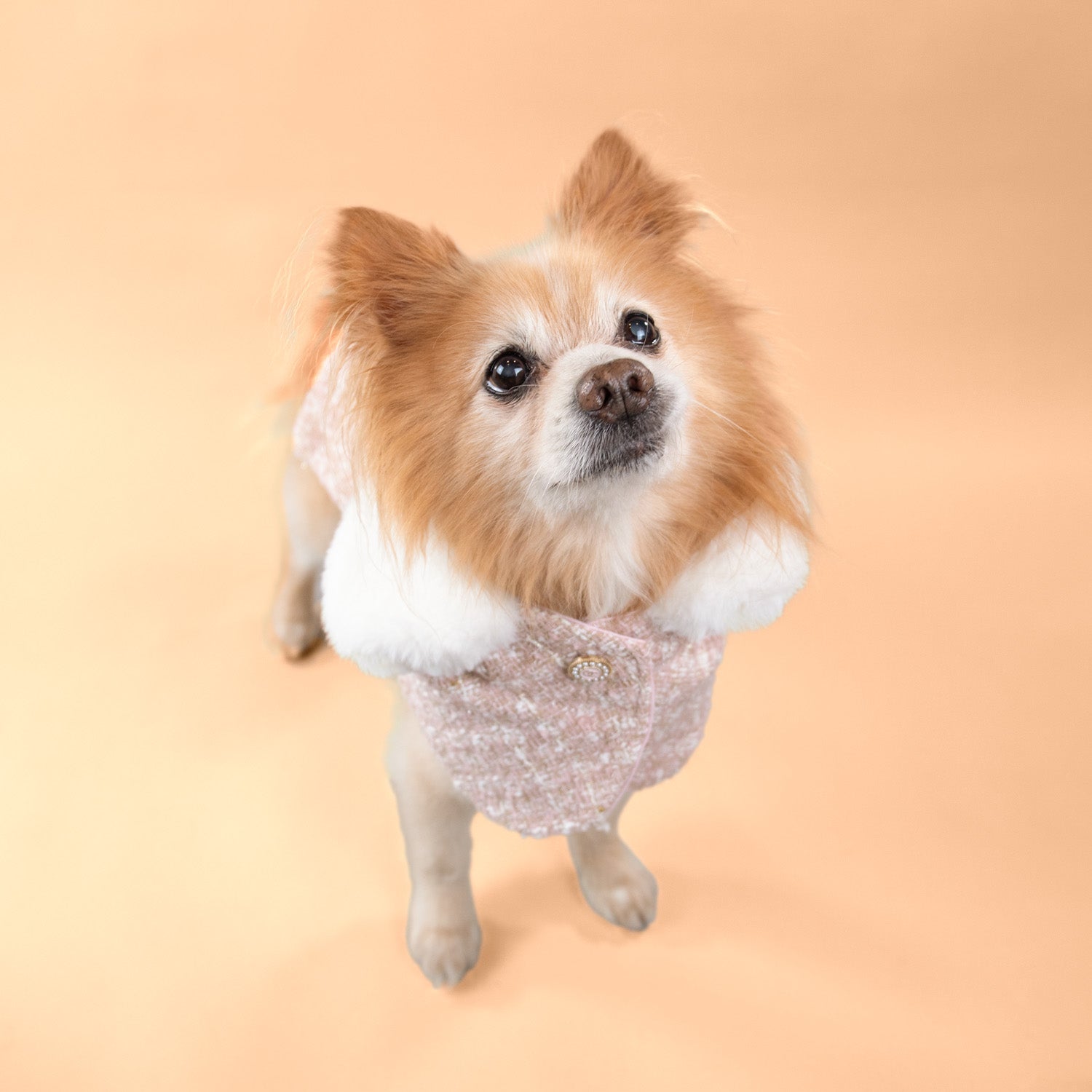 The Antionette Overcoat