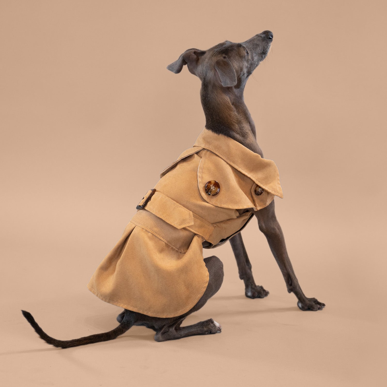 Sweetheart Suede Overcoat