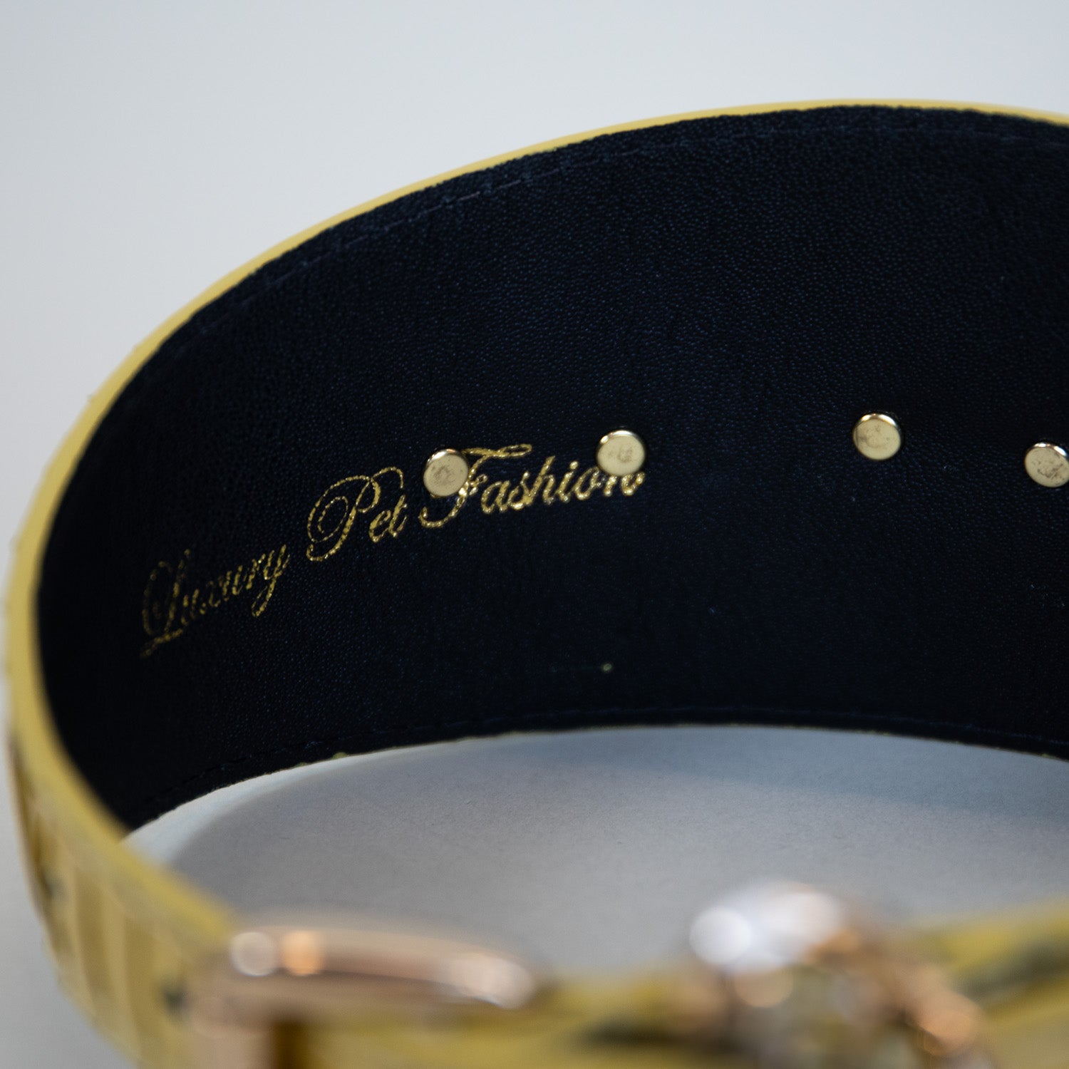 Pearly Dunes Collars