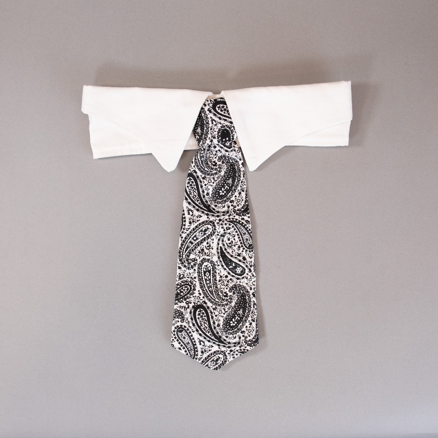 Paisley Tie