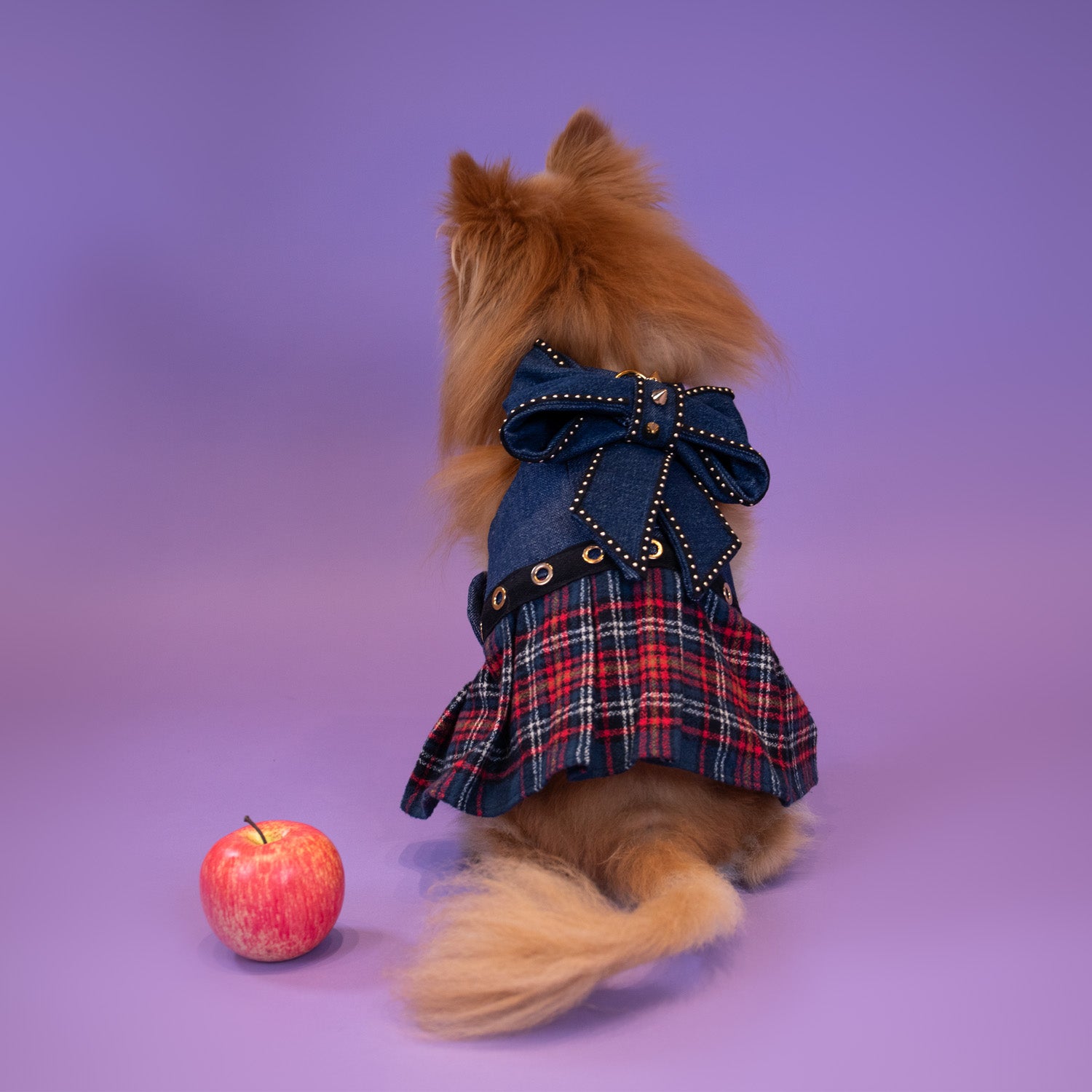 School of Pup Dress