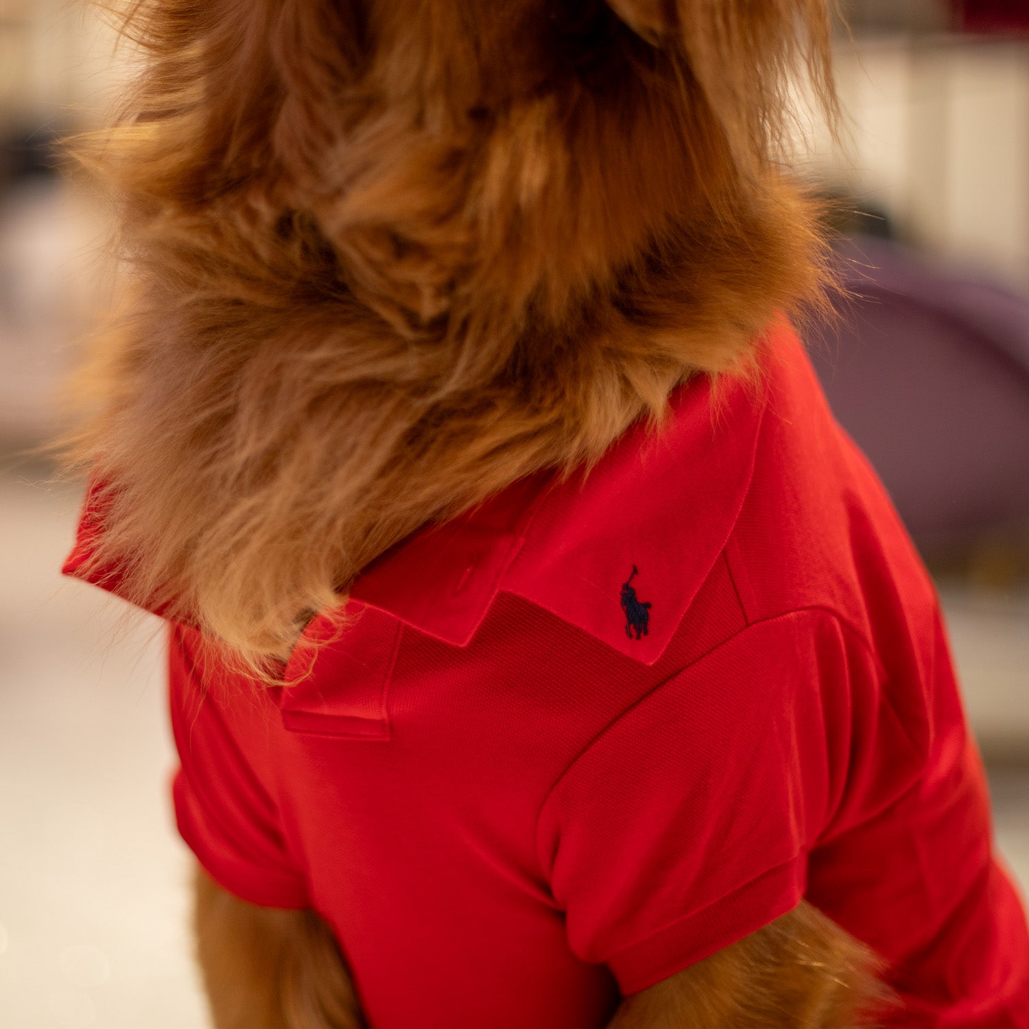 Ralph Lauren Classic Polo