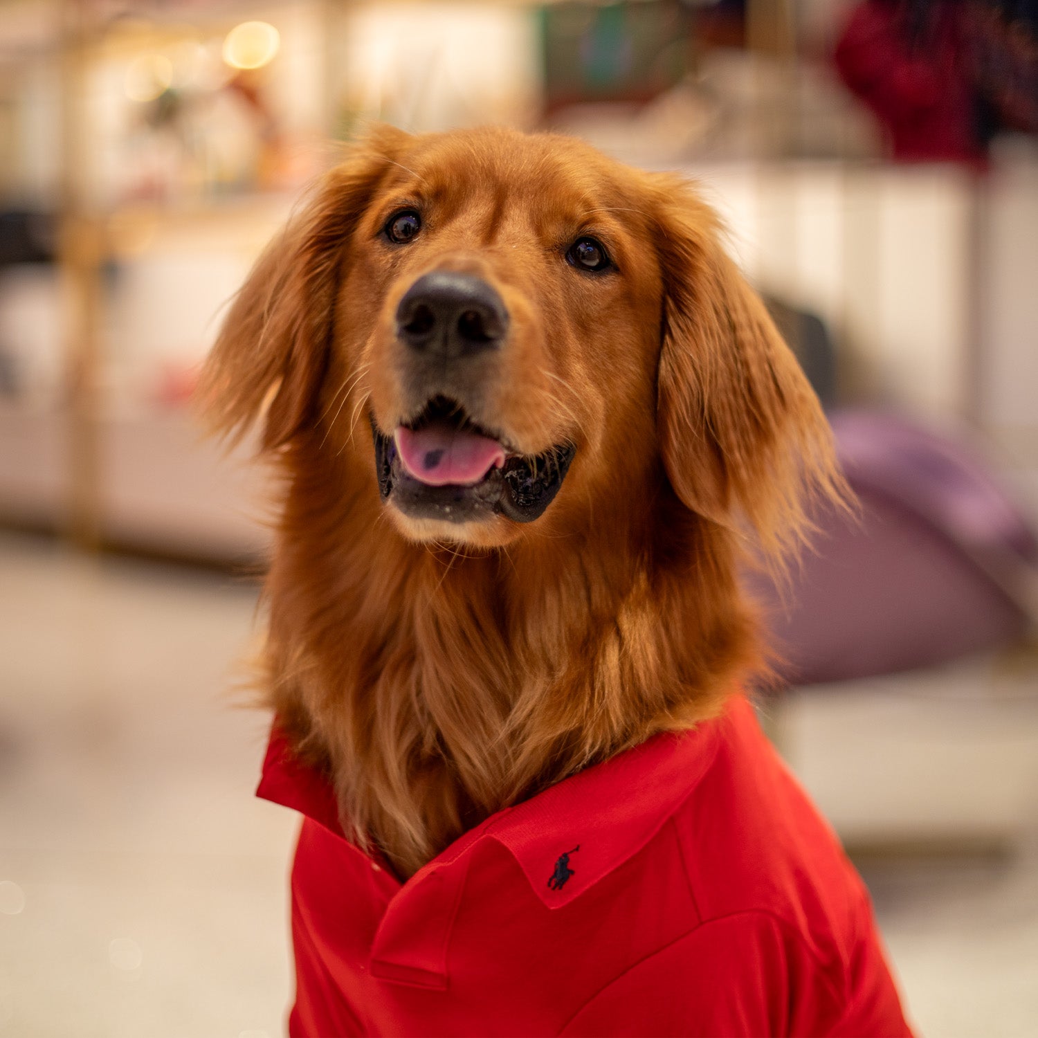 Ralph Lauren Classic Polo