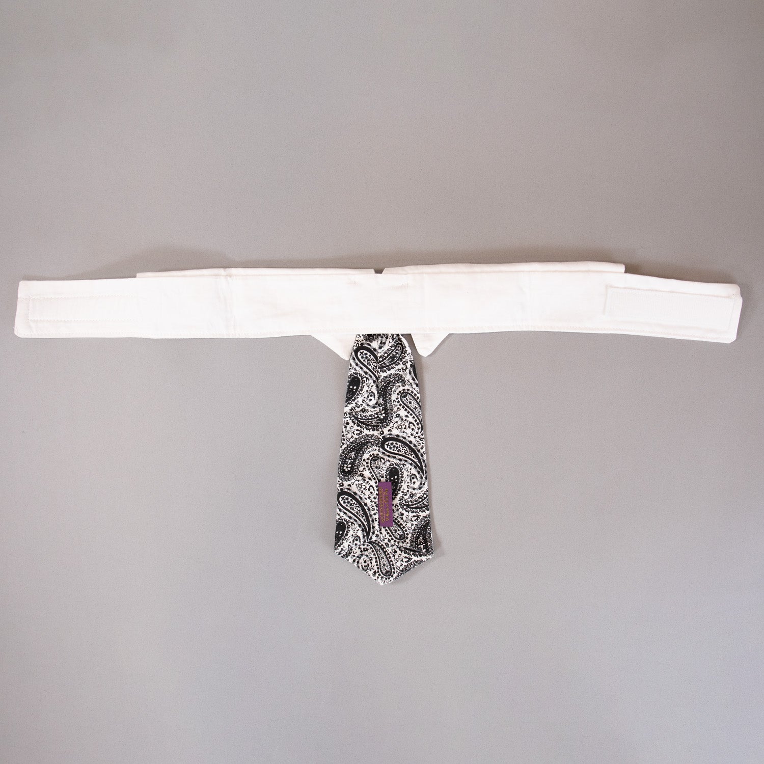 Paisley Tie
