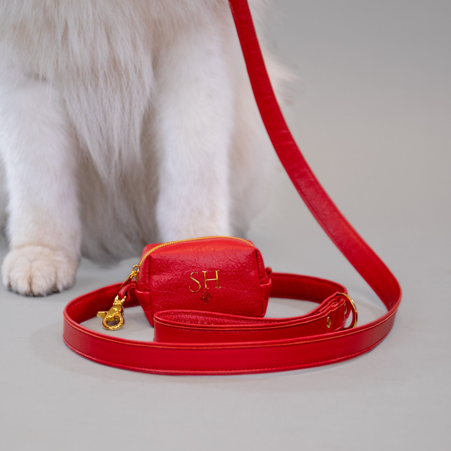 The Original Clean-up Carrier