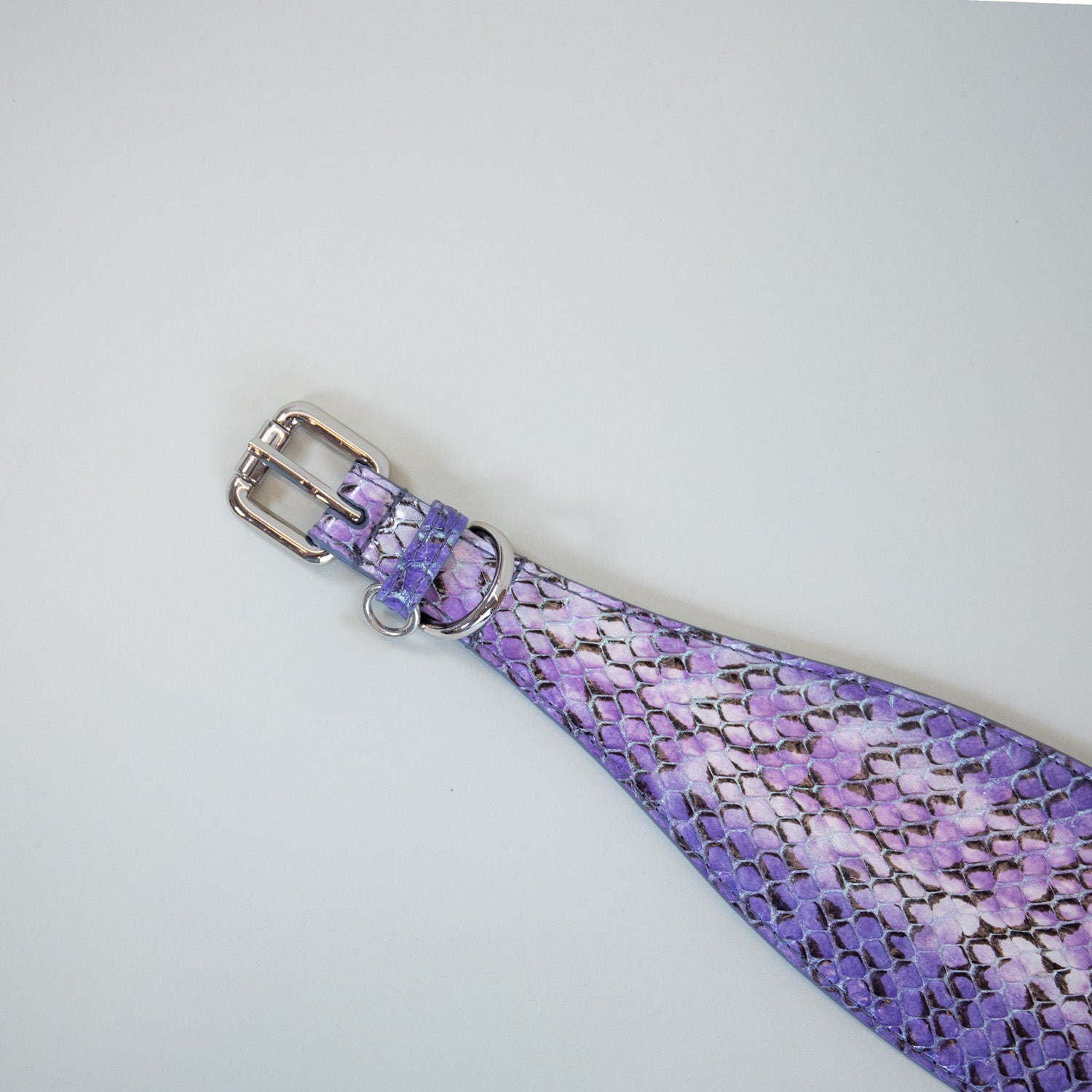 Monarch Snakeprint Collars