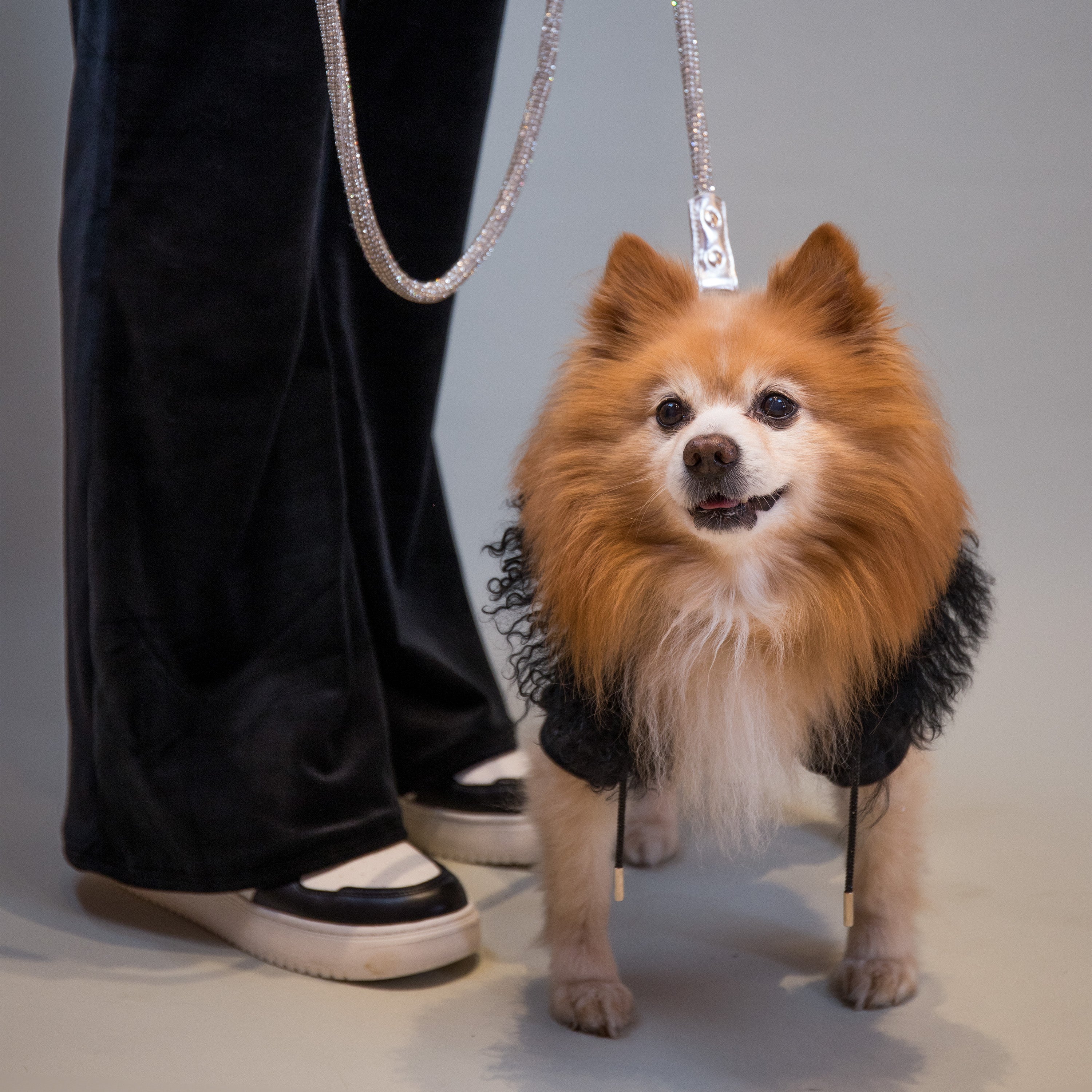ChiChi Crystal Leashes