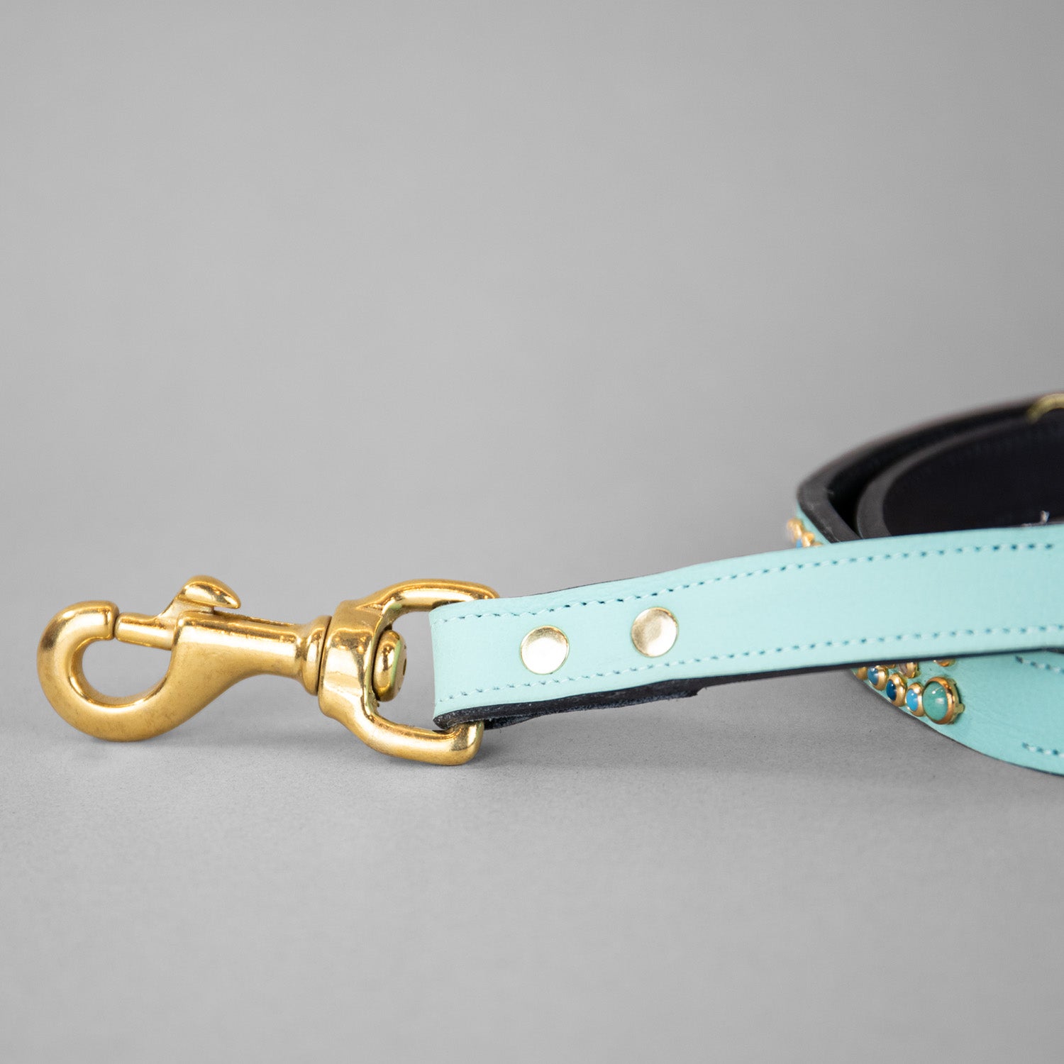 Wonders of the World Leashes