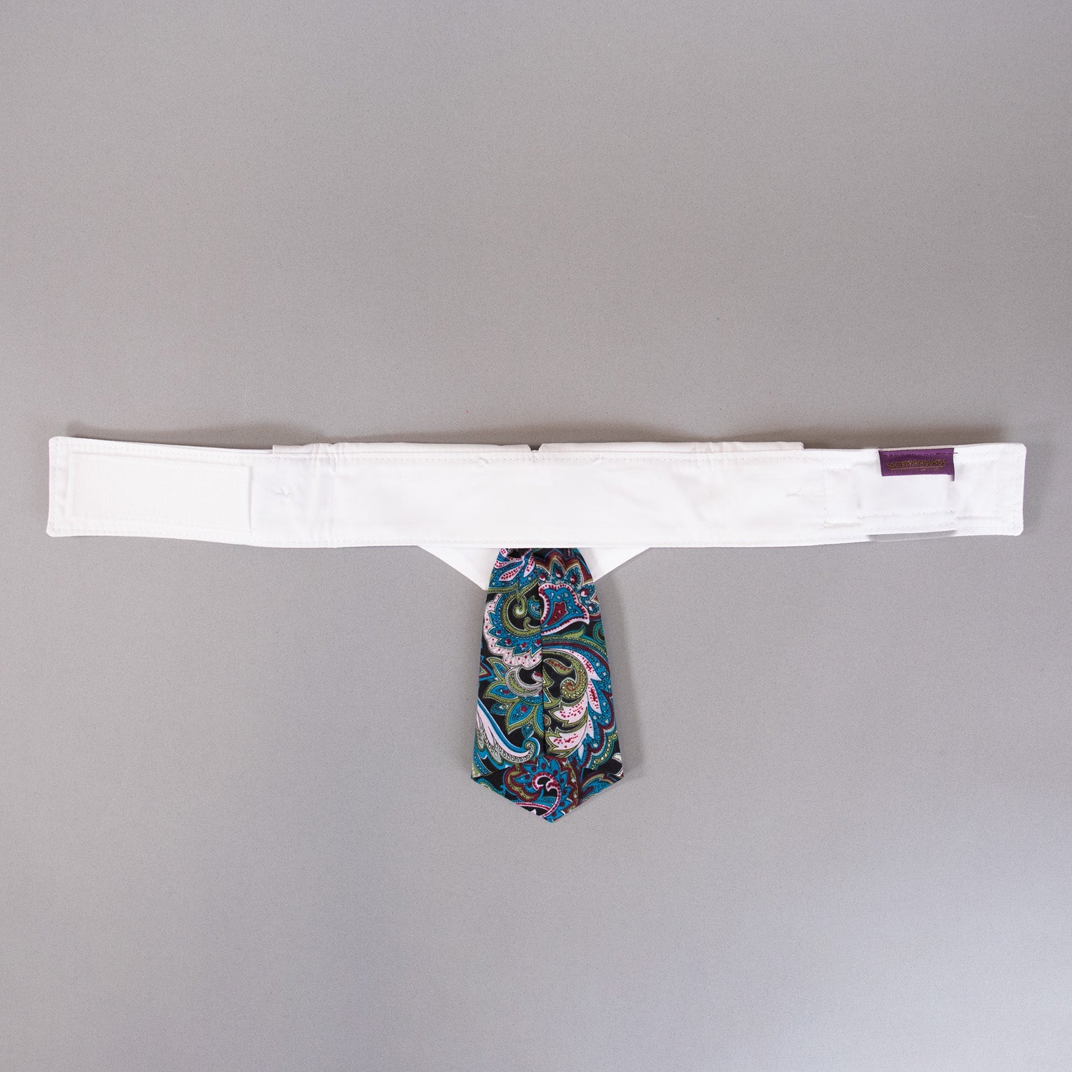 Paisley Tie