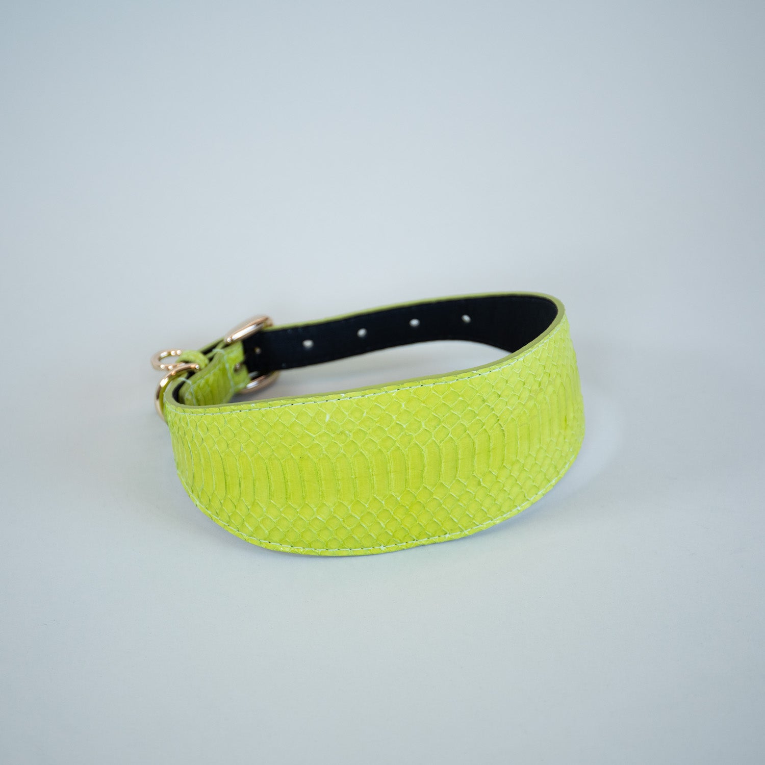 Neon Borealis Collar