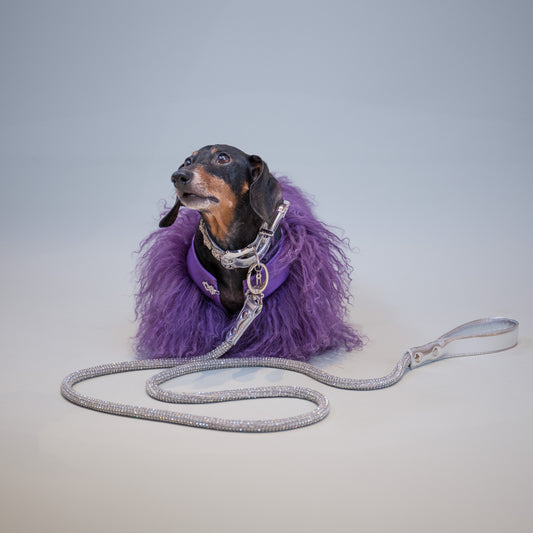 ChiChi Crystal Leashes
