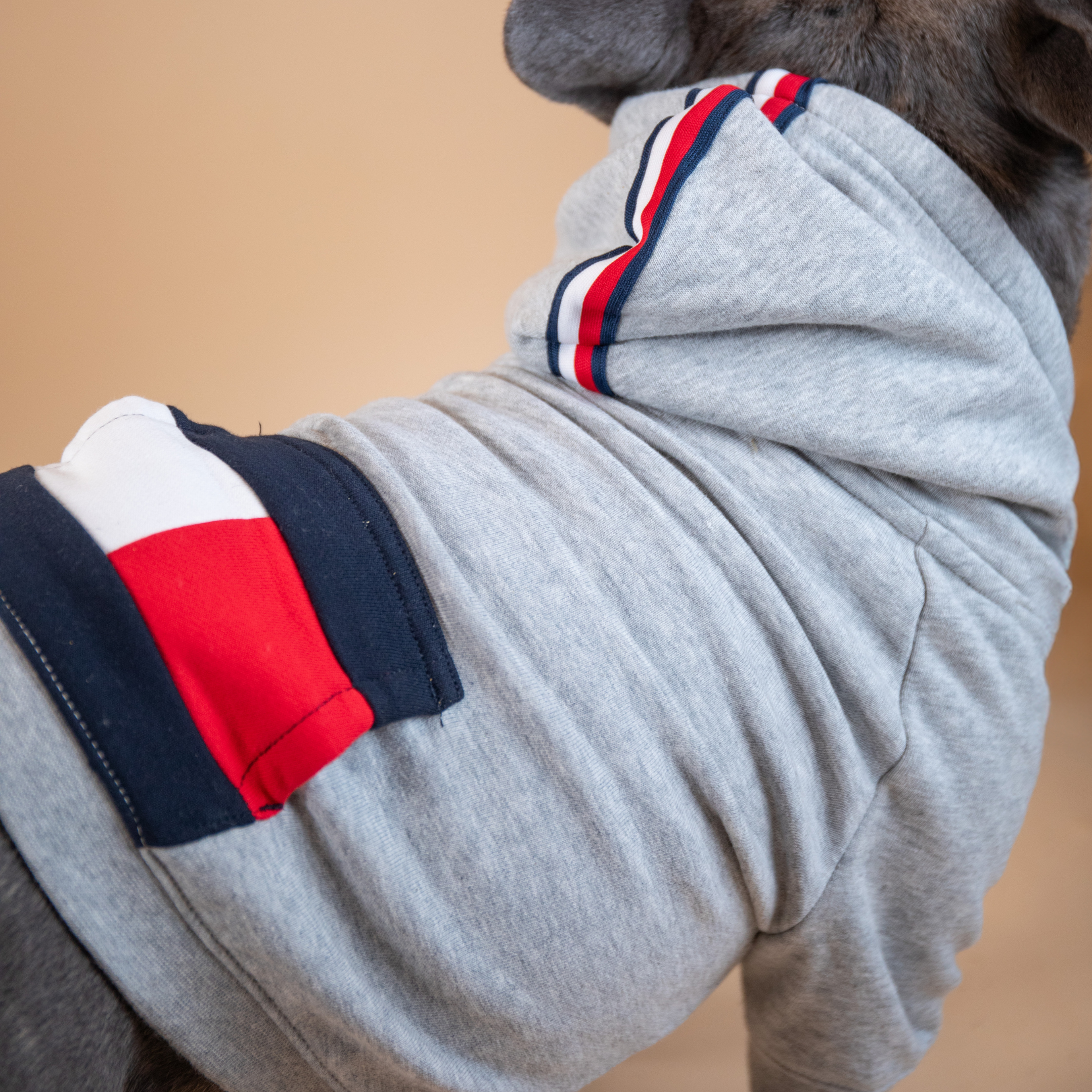 Tommy Hilfiger Signature Stripe Hoodie