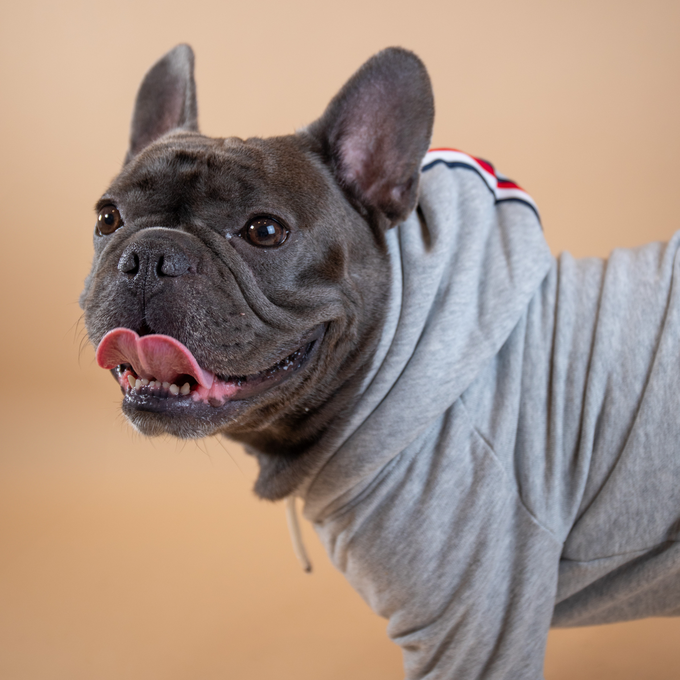 Tommy Hilfiger Signature Stripe Hoodie