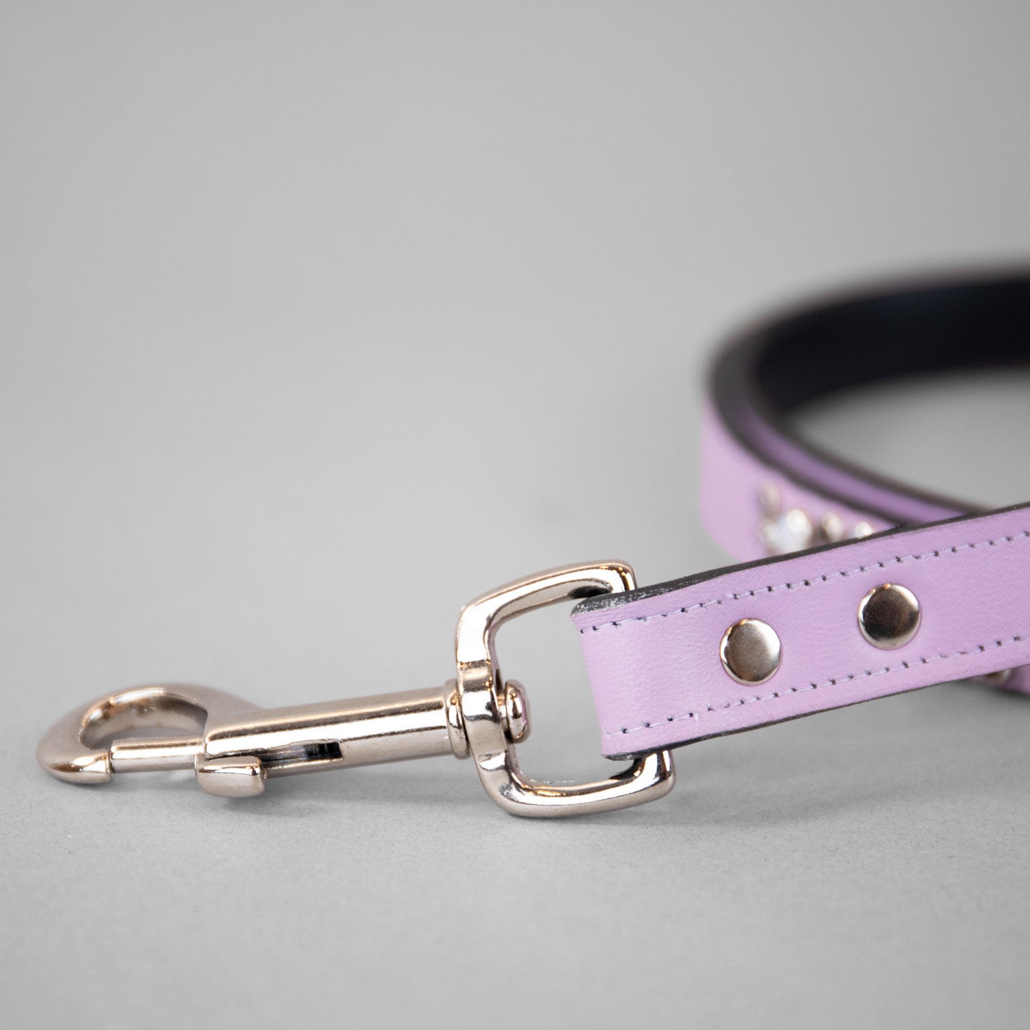 Wonders of the World Leashes