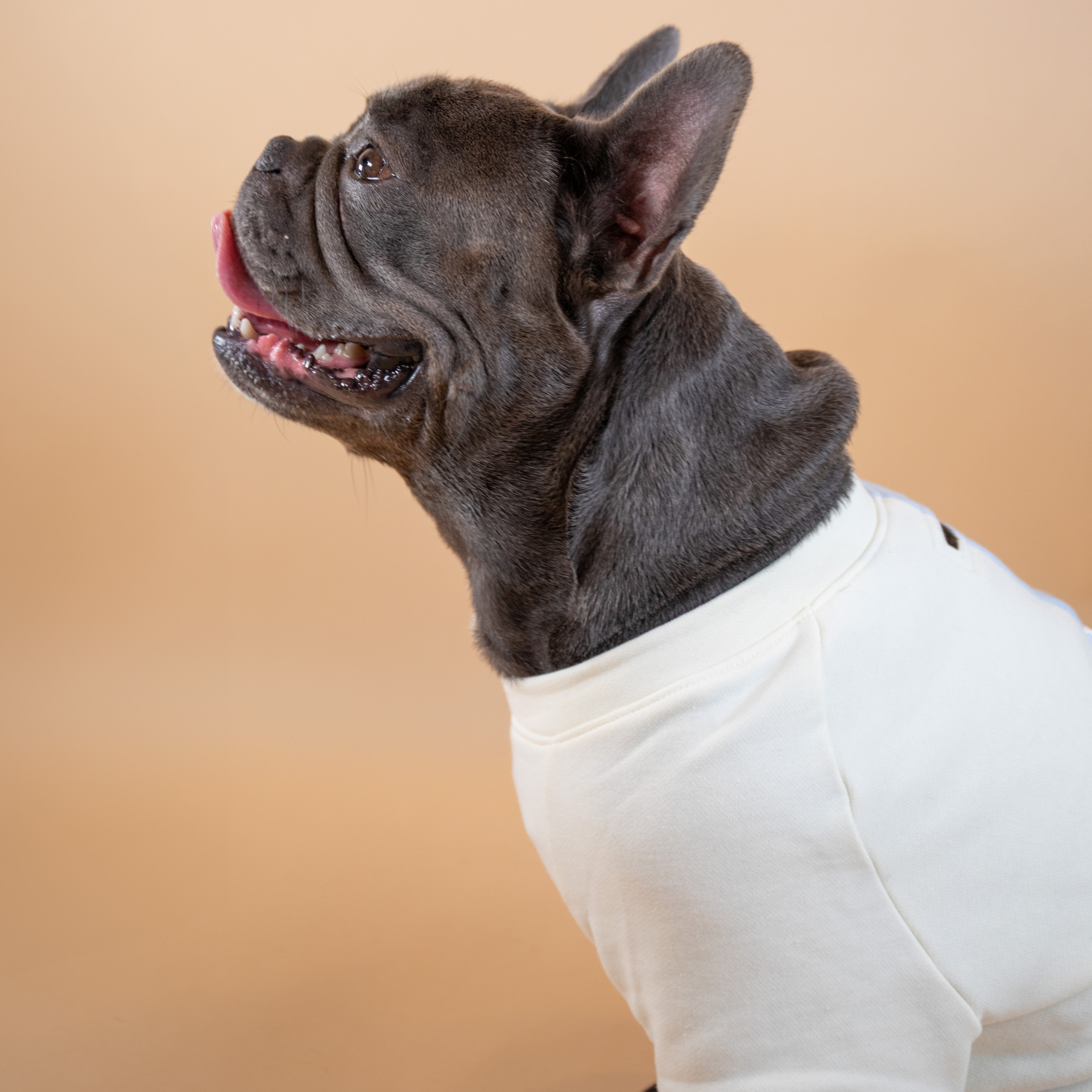 Tommy Hilfiger Color-Block Crew