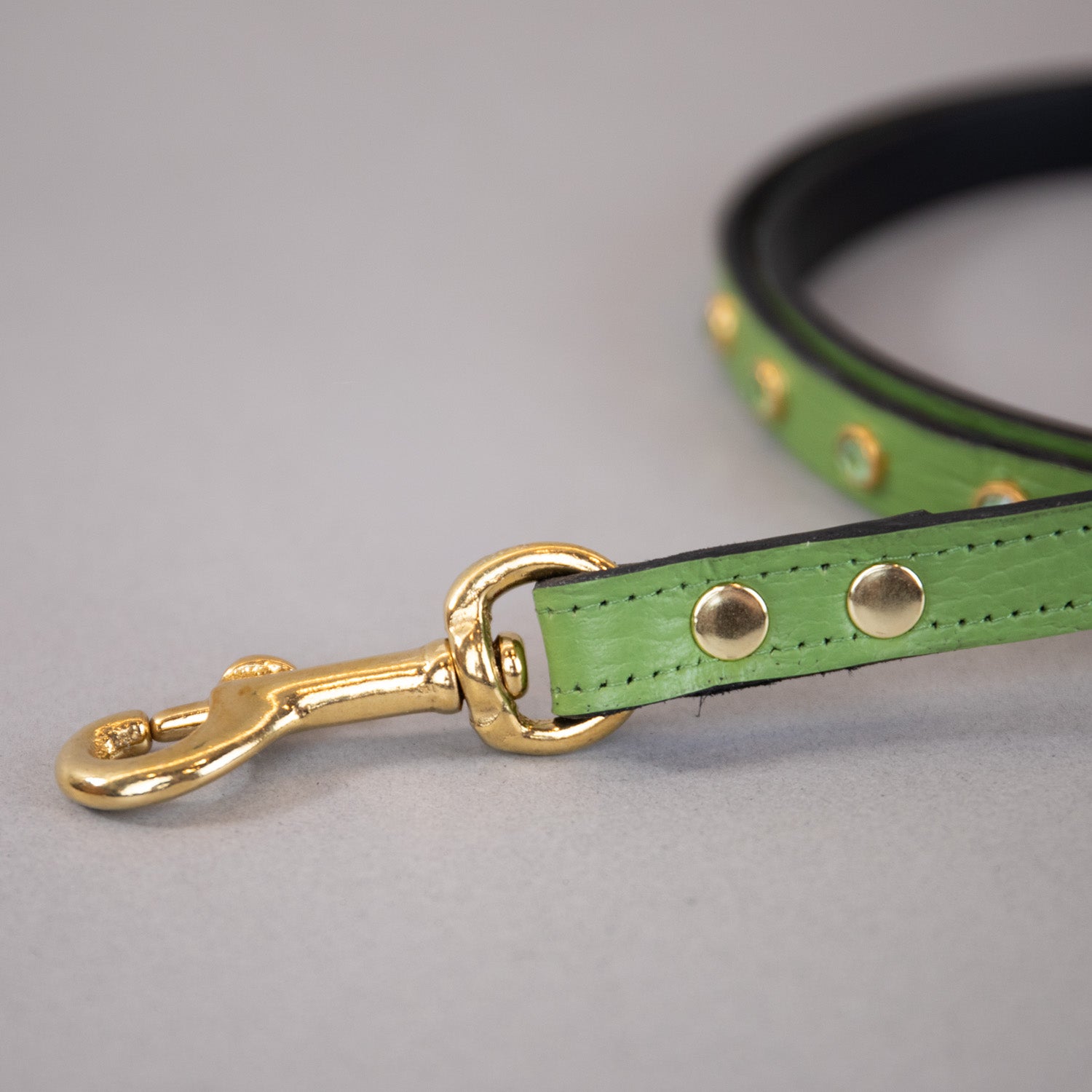 Crystal Garden Leash