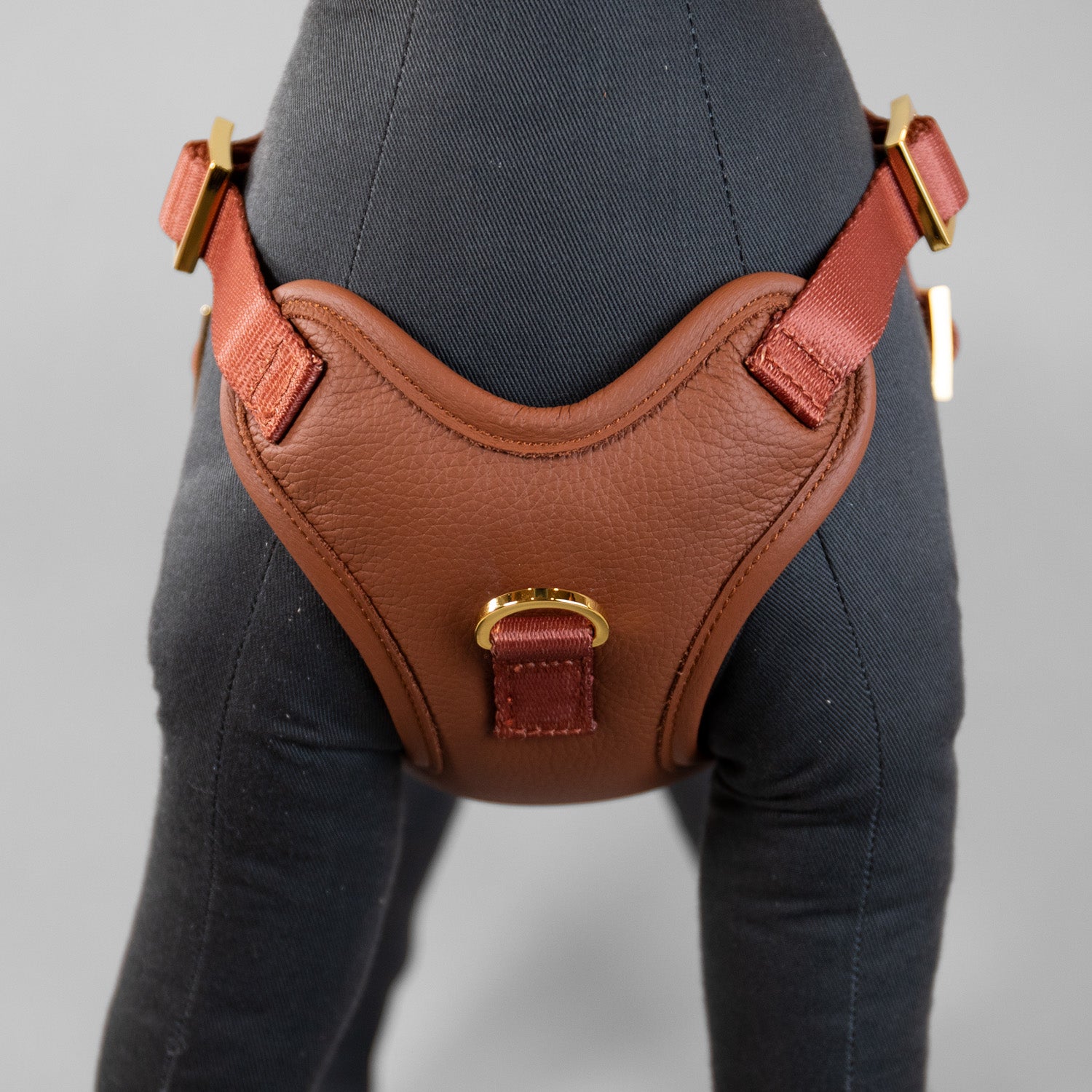 The Original Harness