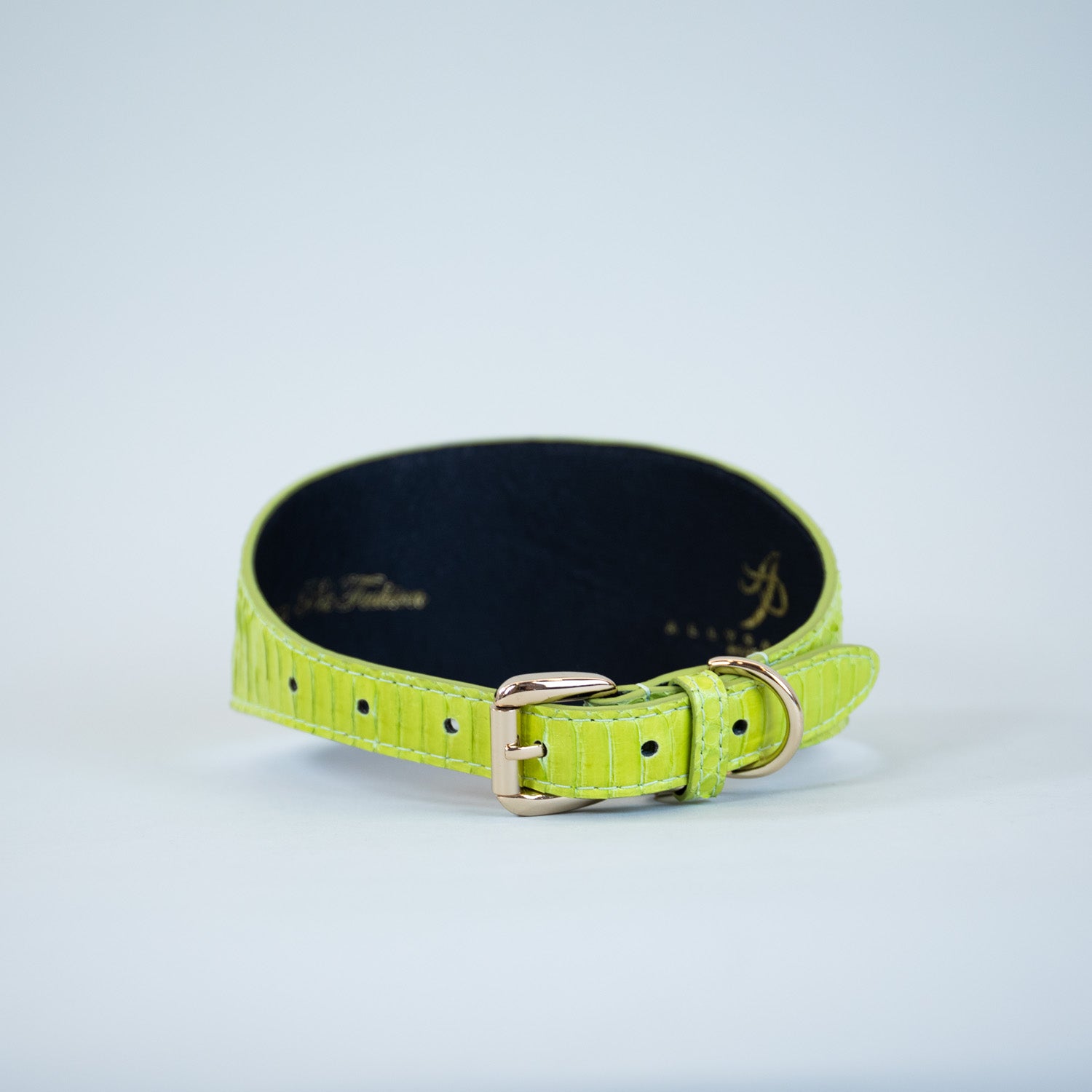 Neon Borealis Collar