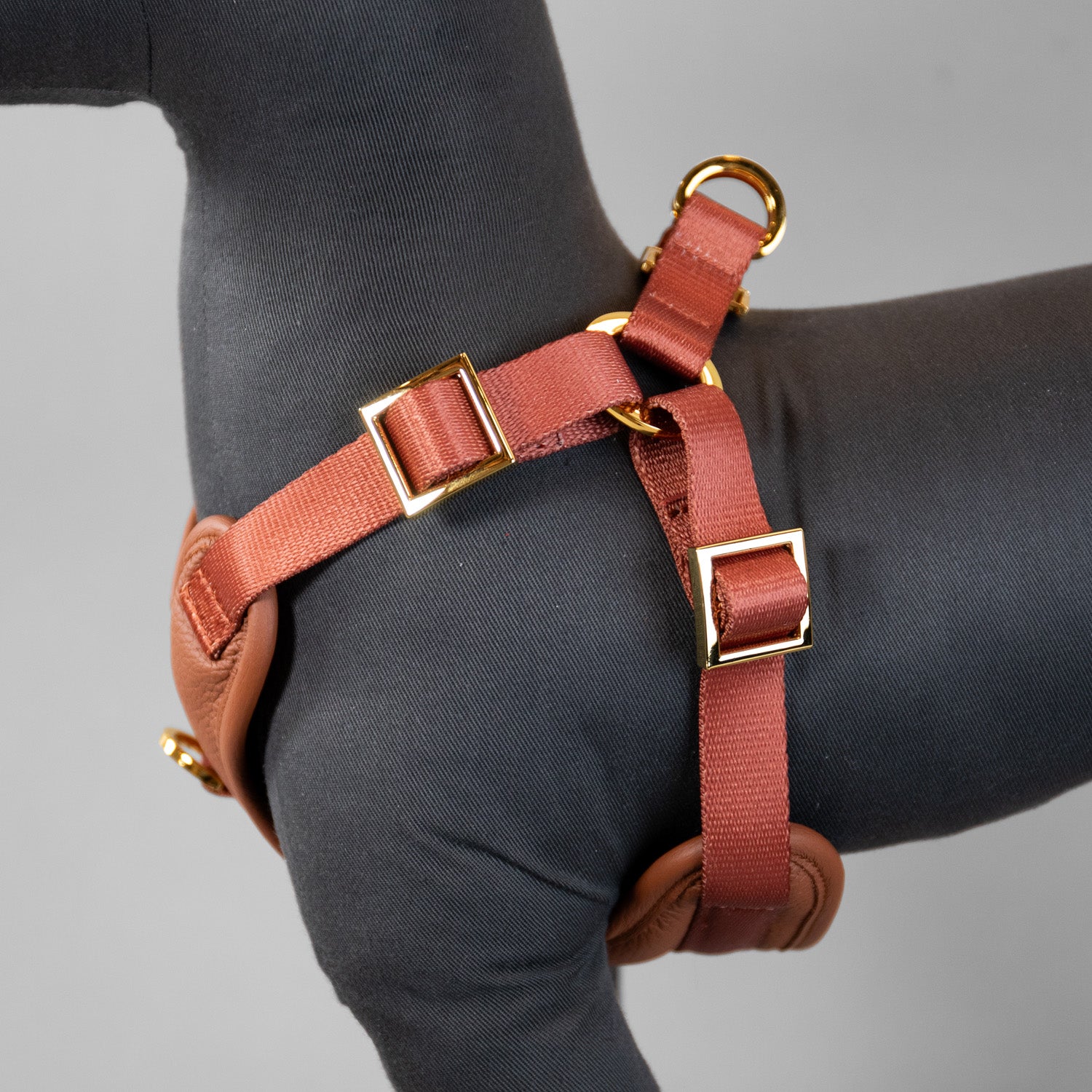 The Original Harness