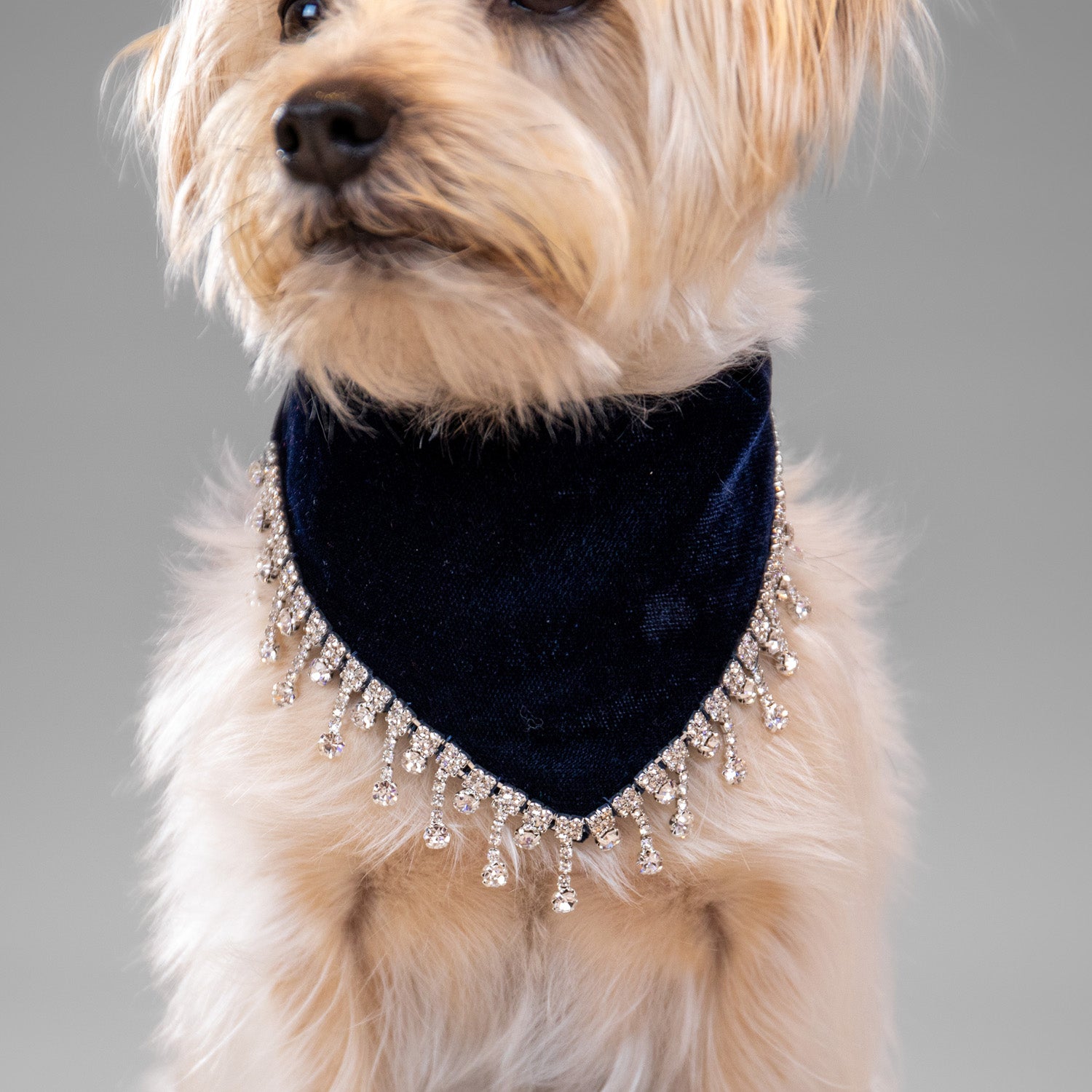 Glistening Velvet Bandanas