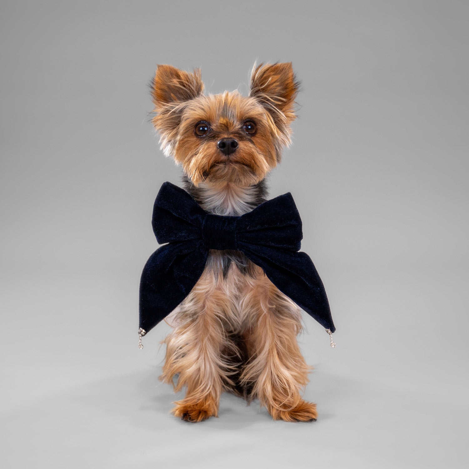 Glistening Velvet Bow