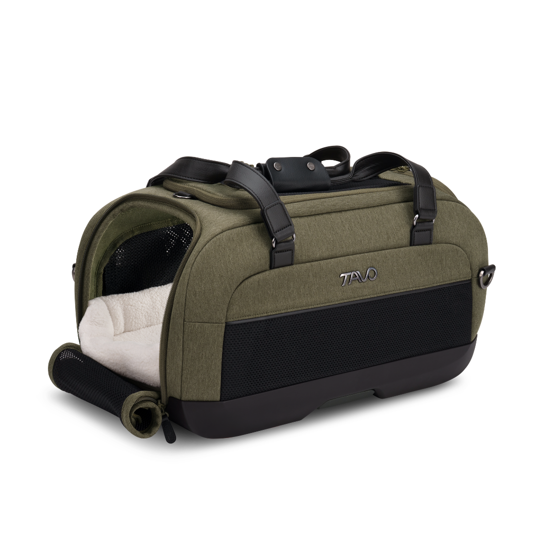 Dupree II Travel System