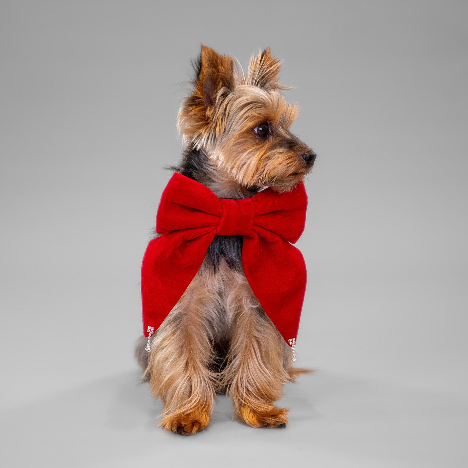 Glistening Velvet Bow