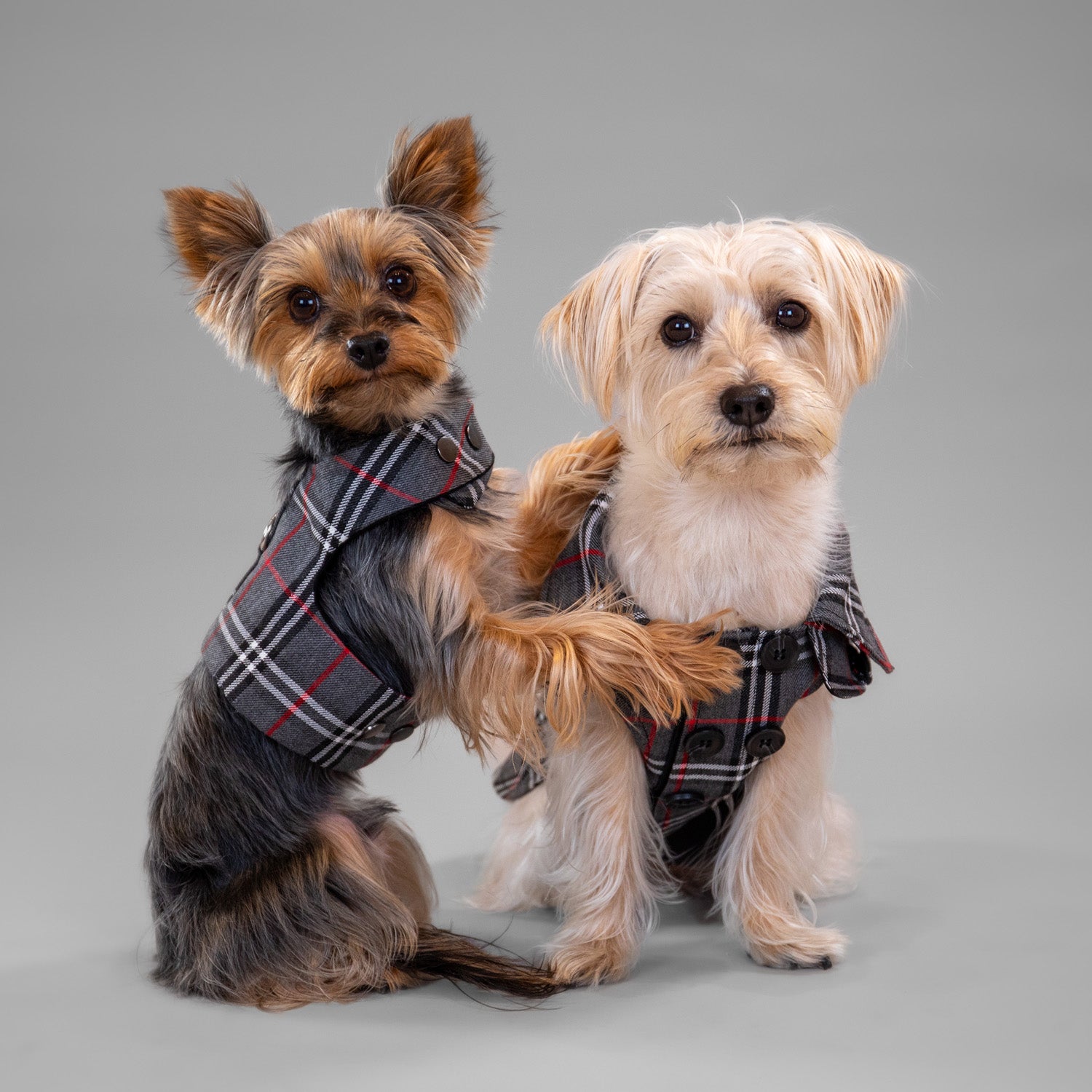 The Rockefeller Overcoat