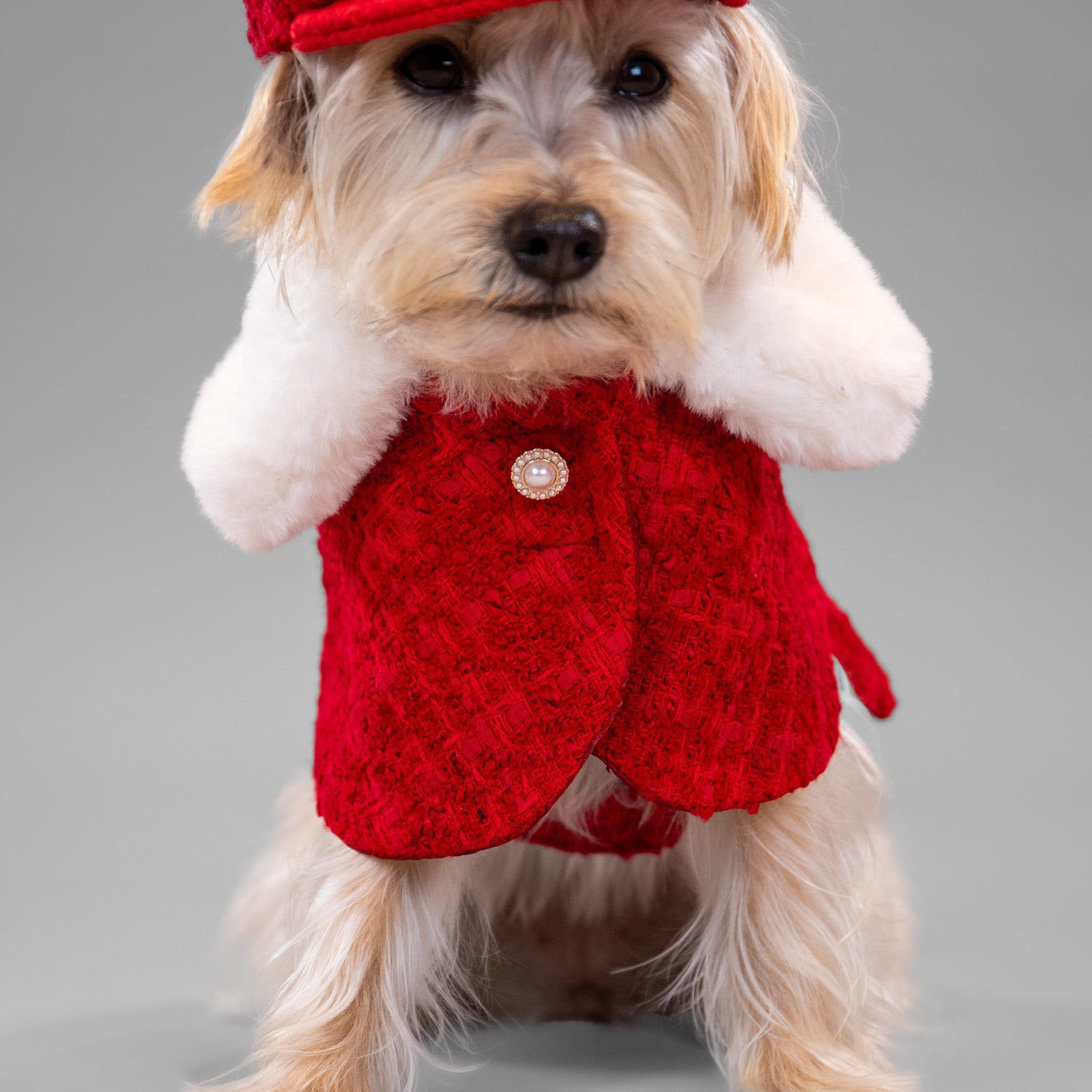 The Antoinette Overcoat Holiday Crimson