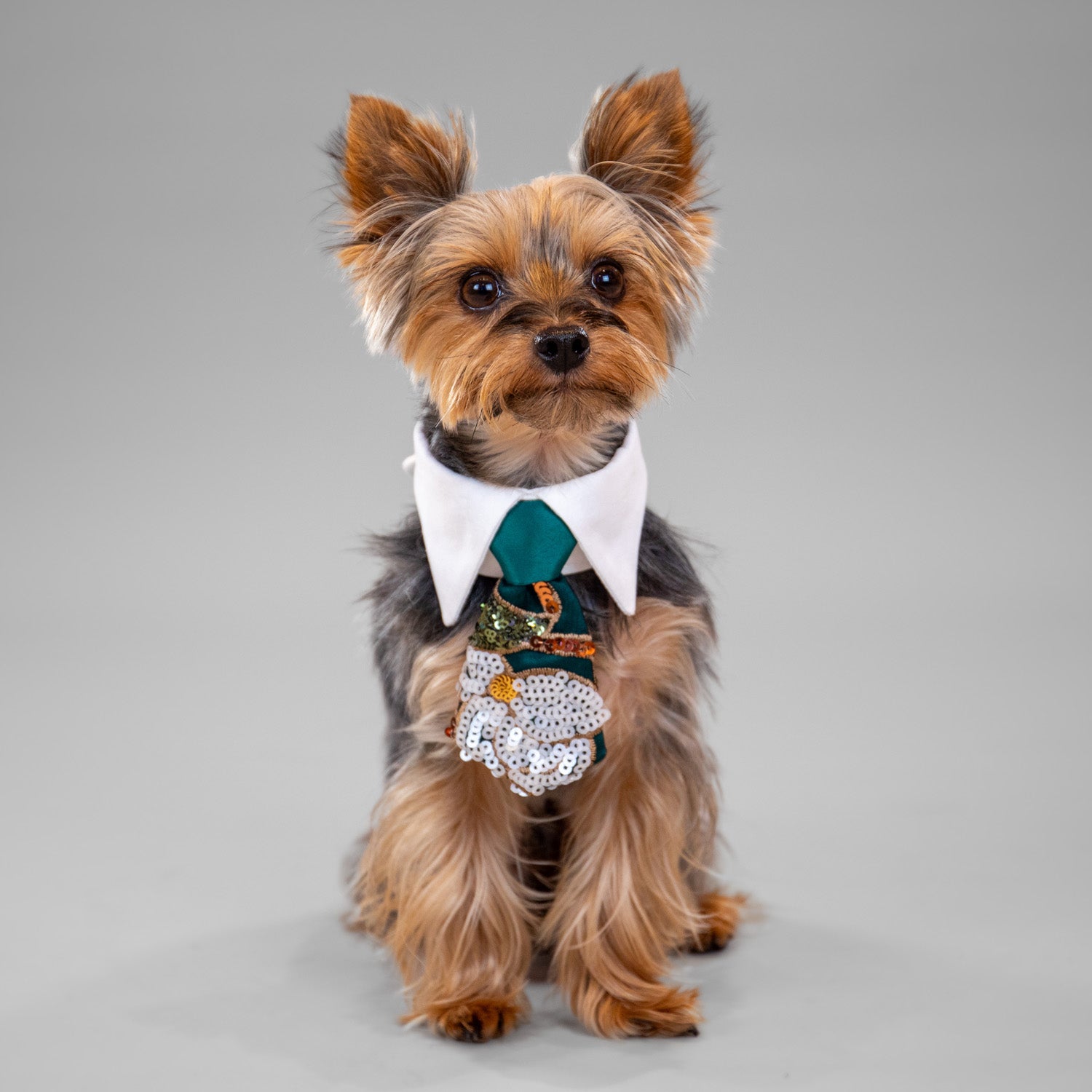 Pixie Poinsettia Tie