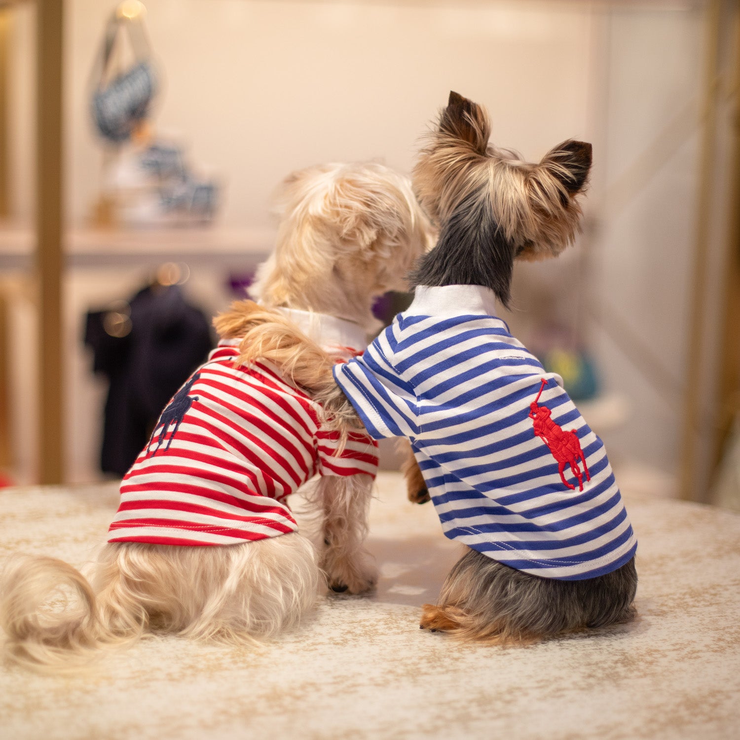 Ralph Lauren Polo Pony T-Shirt