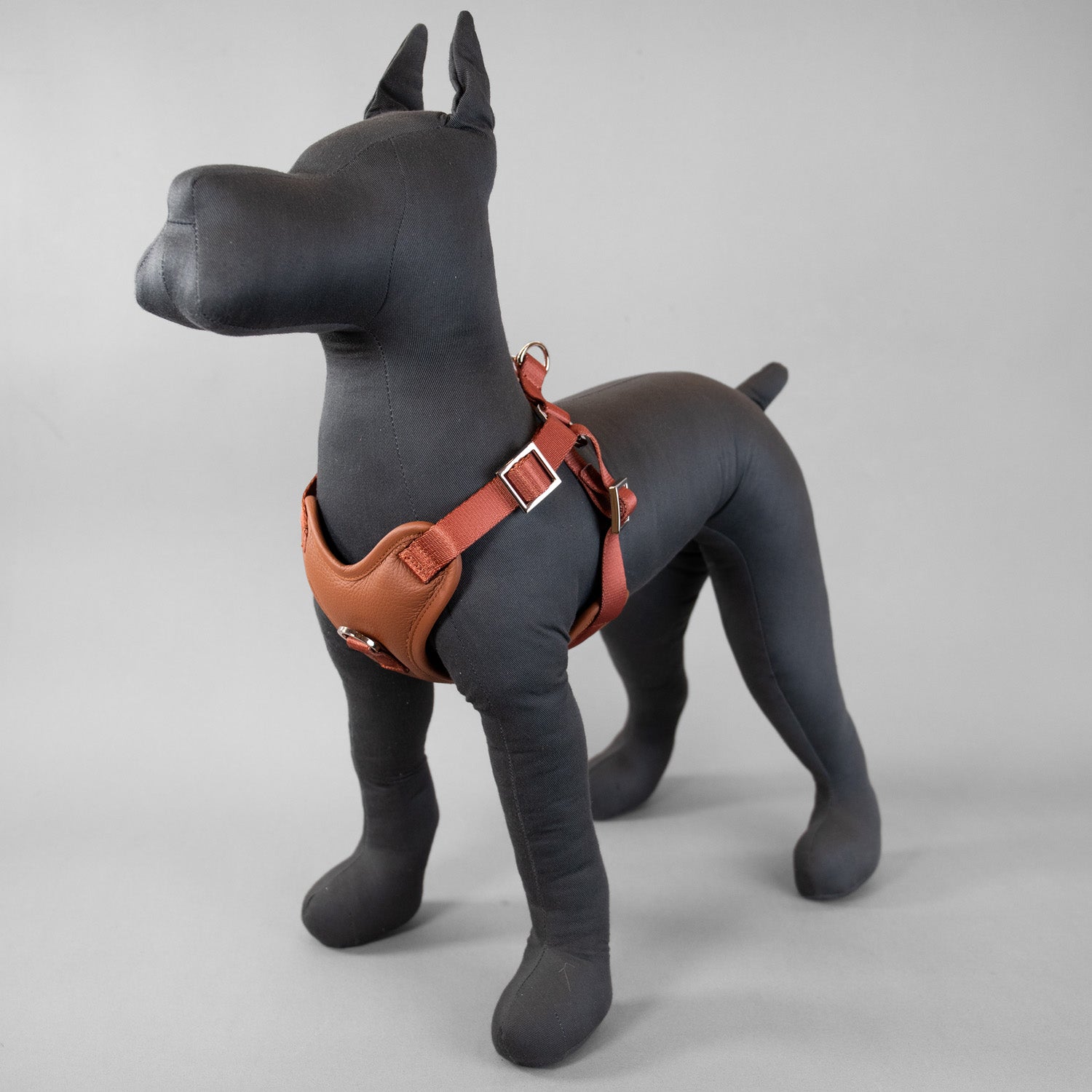 The Original Harness