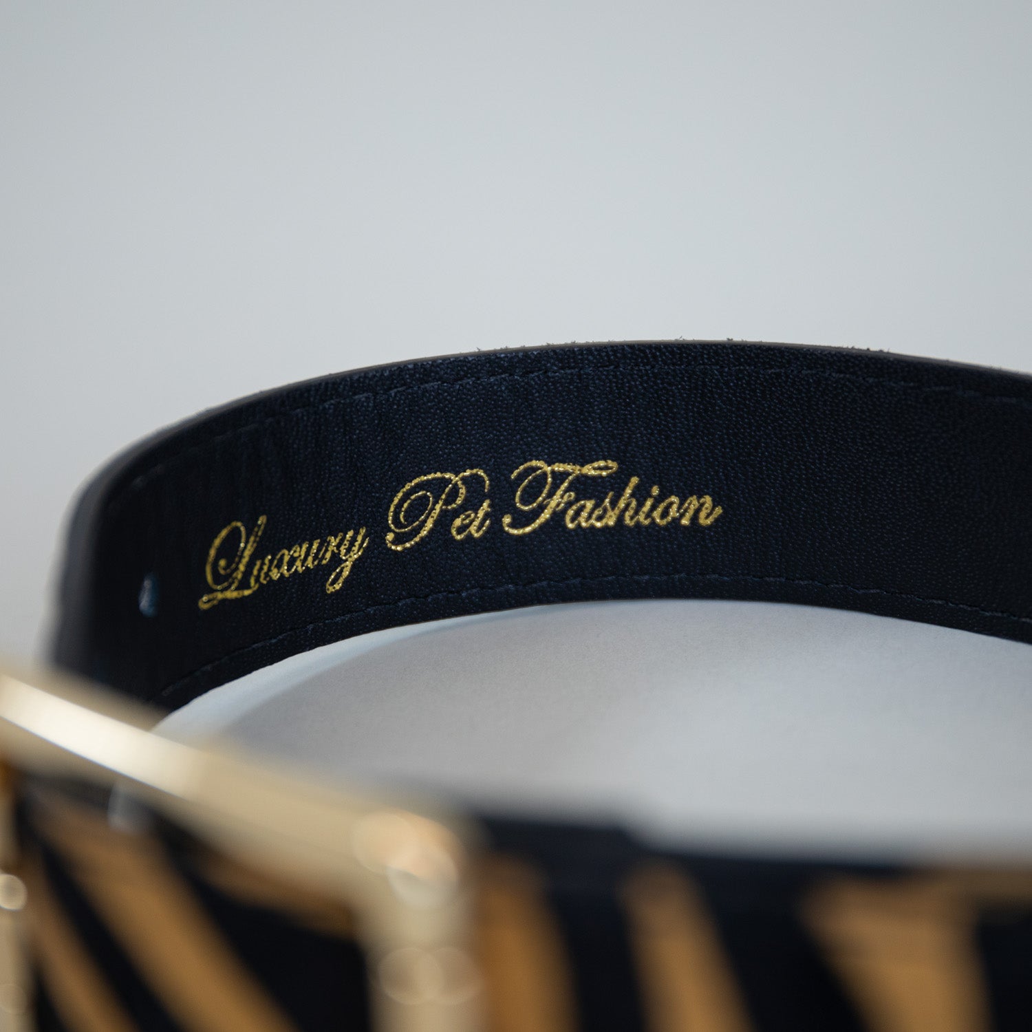 Gilded Zebra Collar