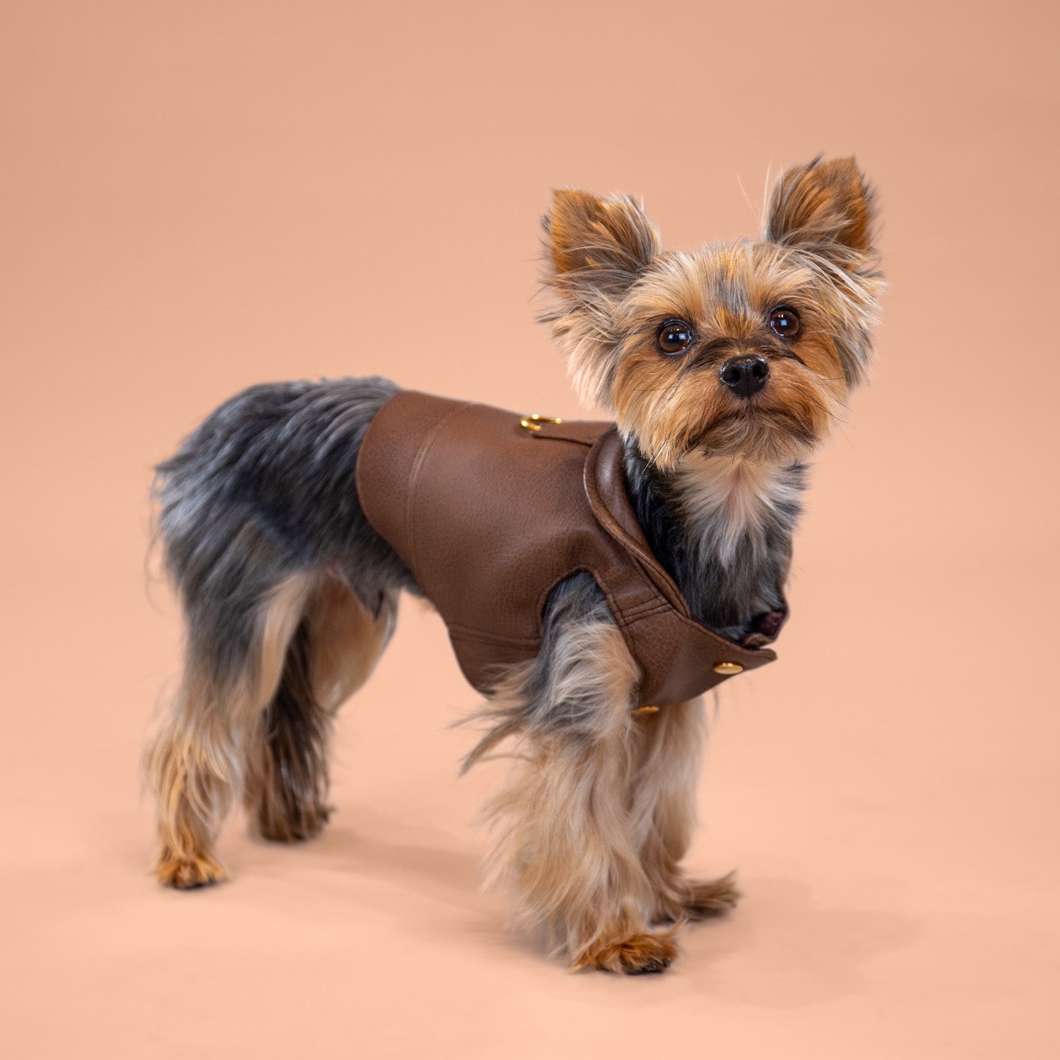 Woodland Faux Leather Jacket