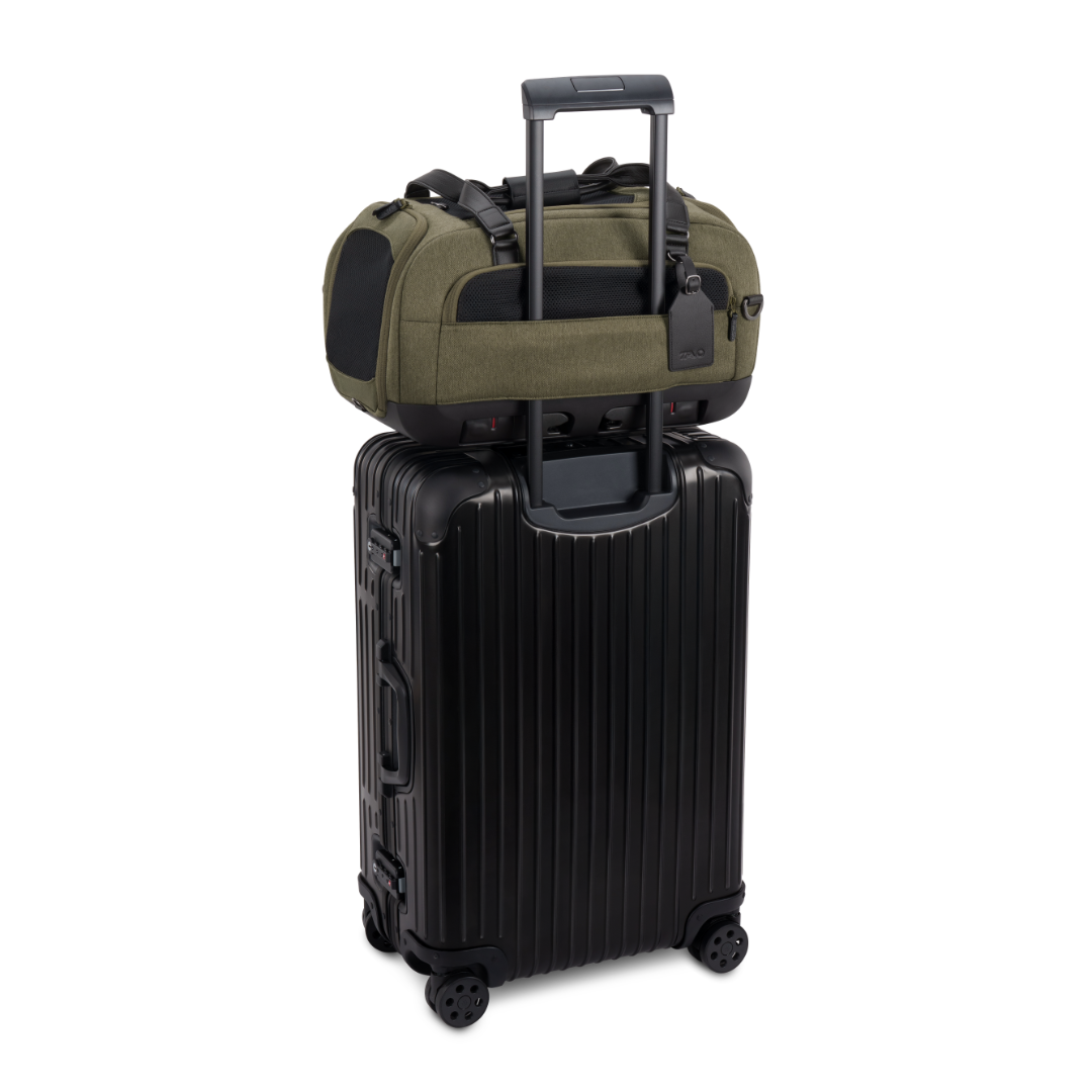 Dupree II Travel System