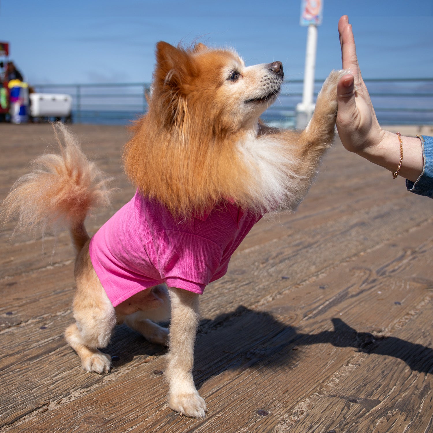 Ralph Lauren Pastel Polo