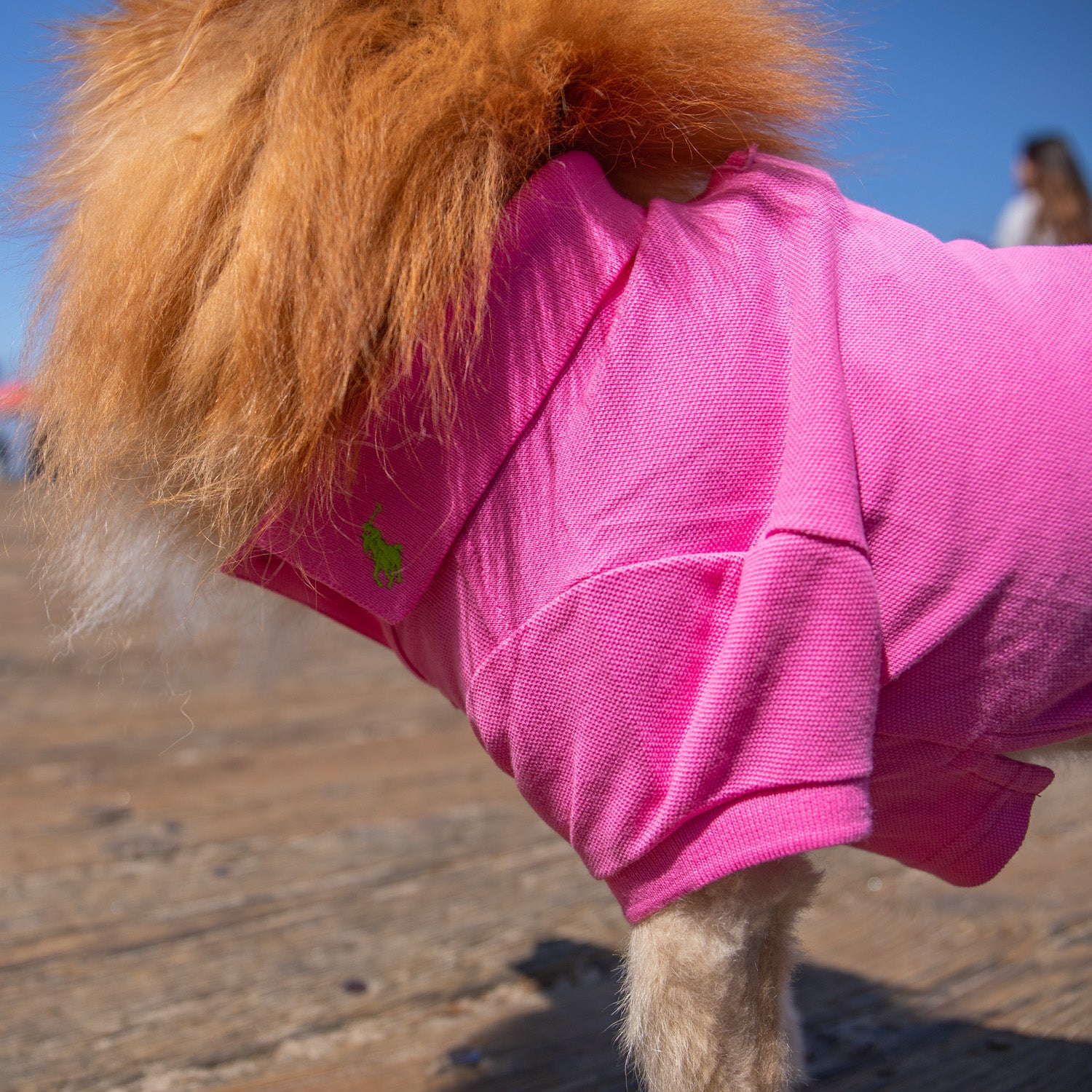 Ralph Lauren Pastel Polo