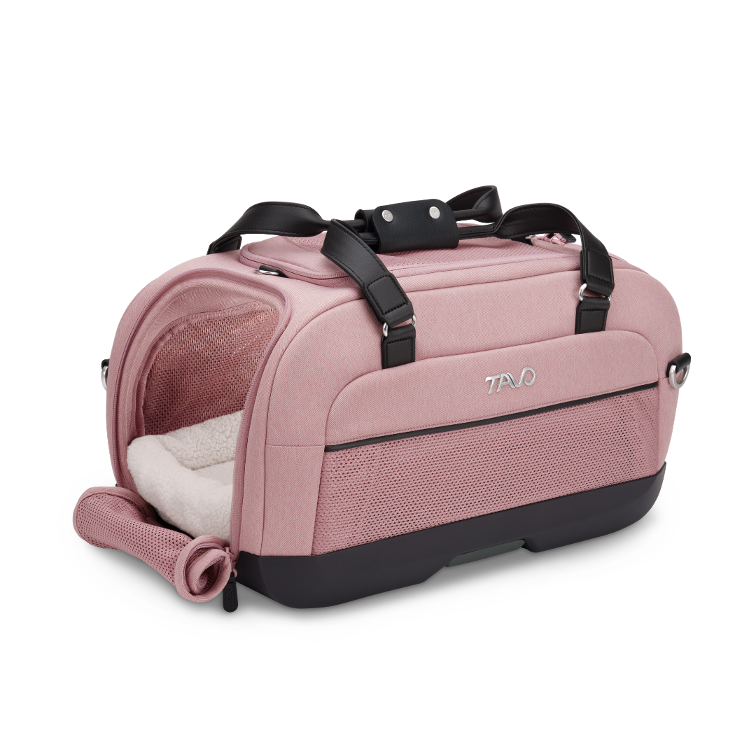 Dupree II Travel System