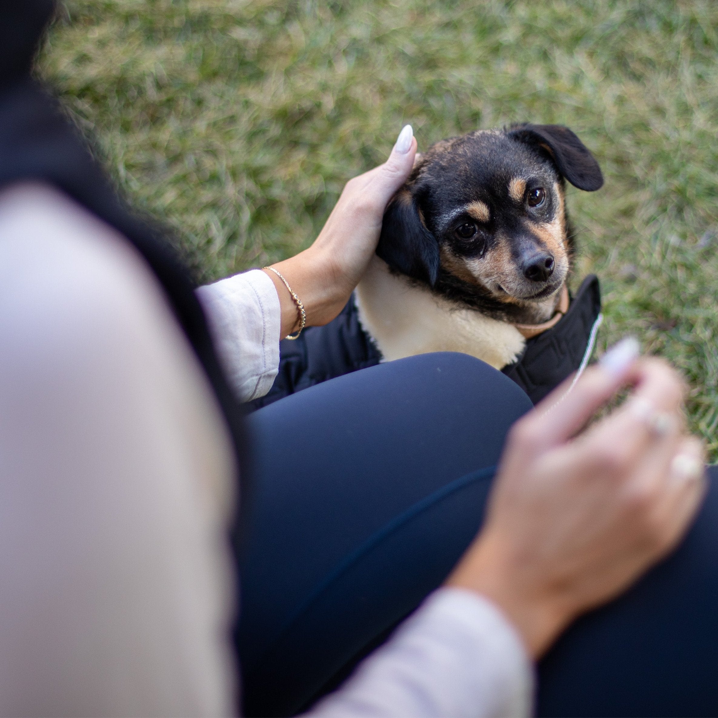 Bernie Dog Saddle Coat