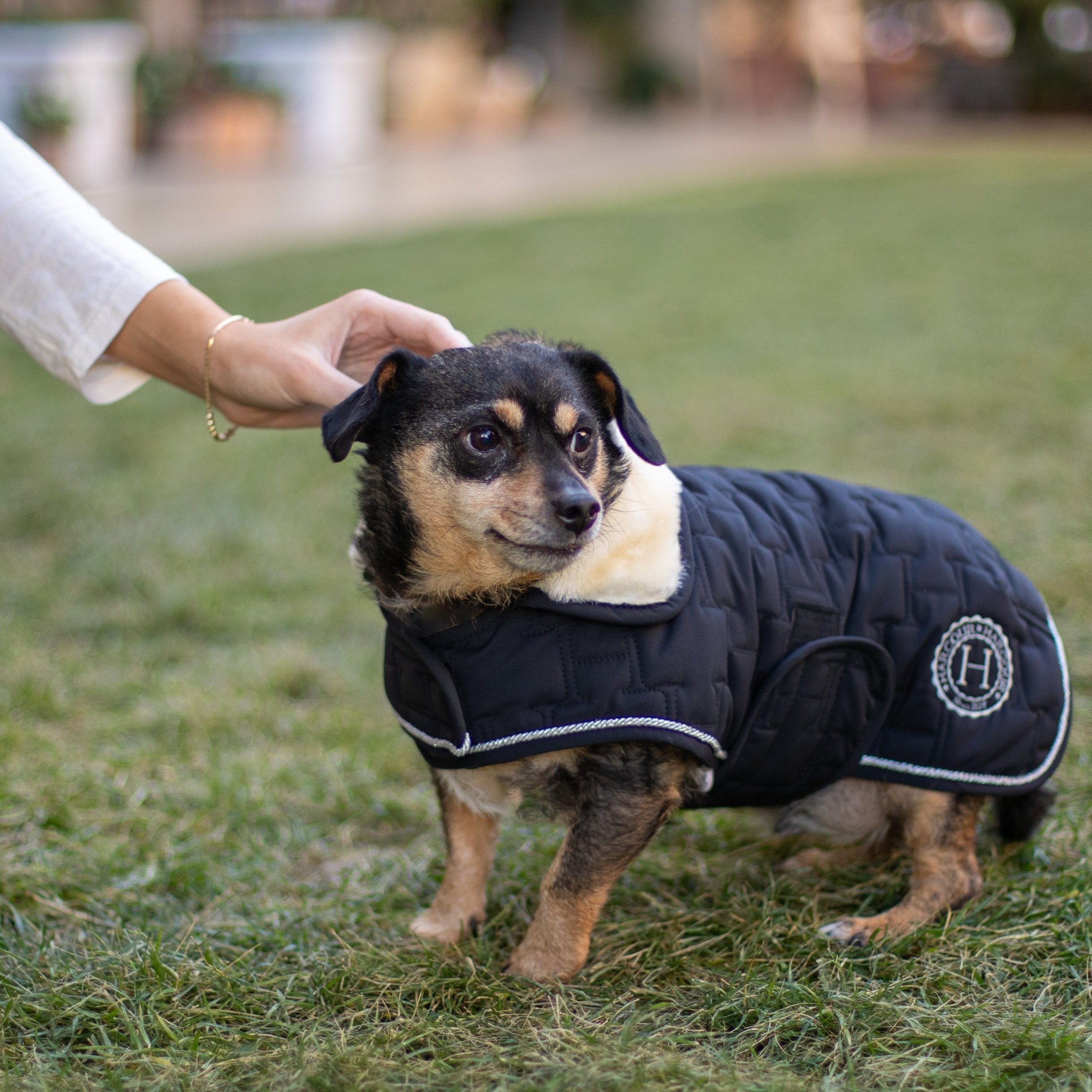 Bernie Dog Saddle Coat