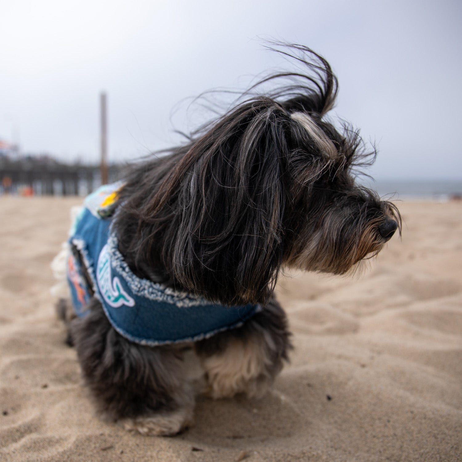 Malibu Dreamin' Denim Harness