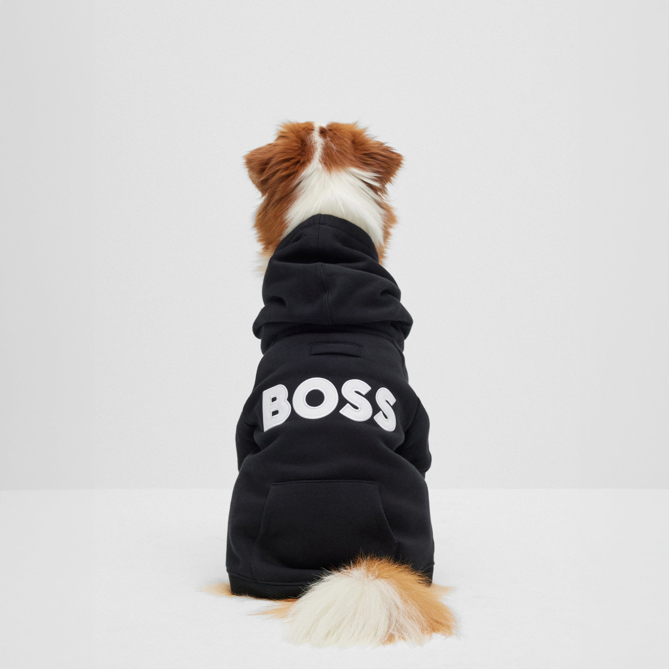 BOSS Logo Hoodie