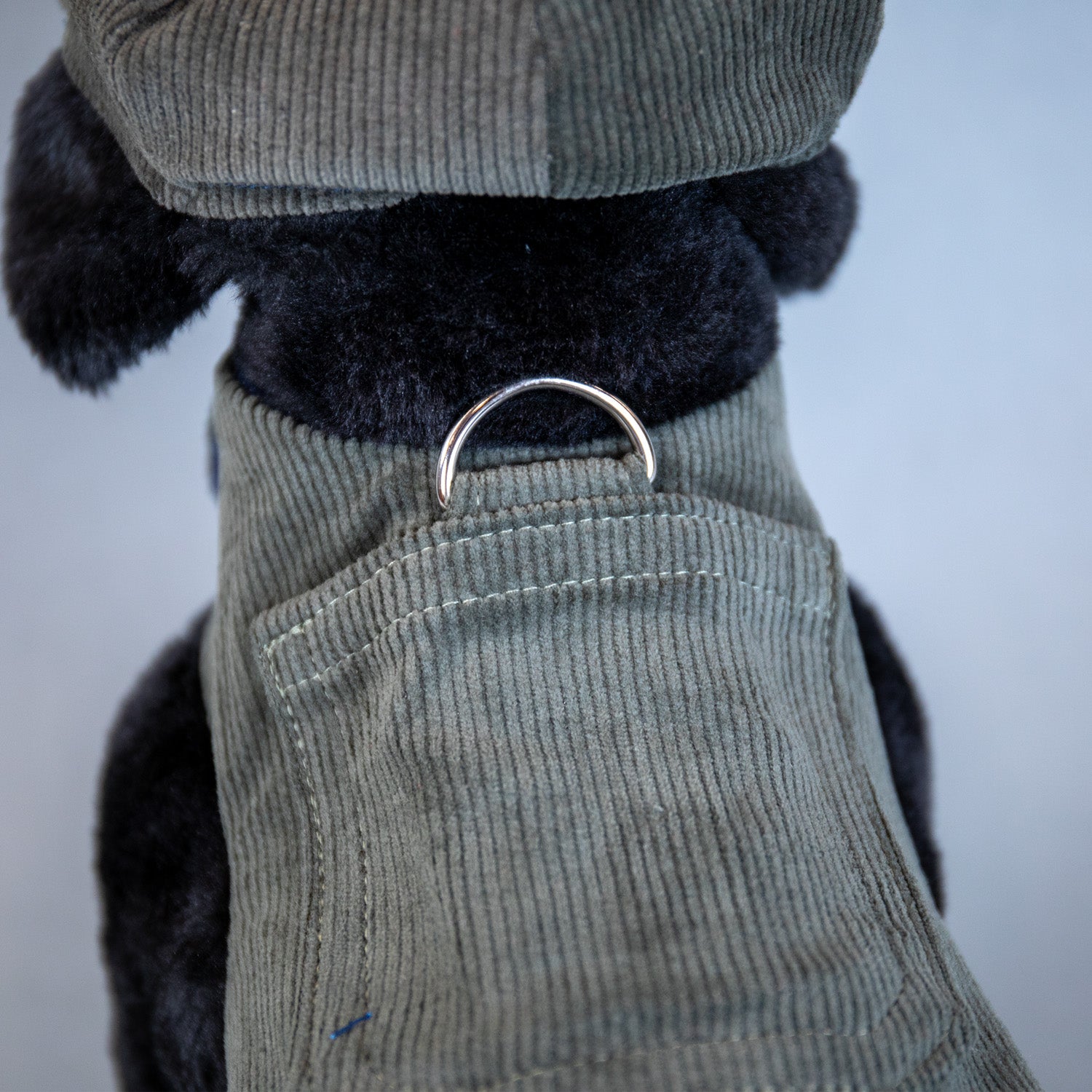 Cozy Corduroy Harness