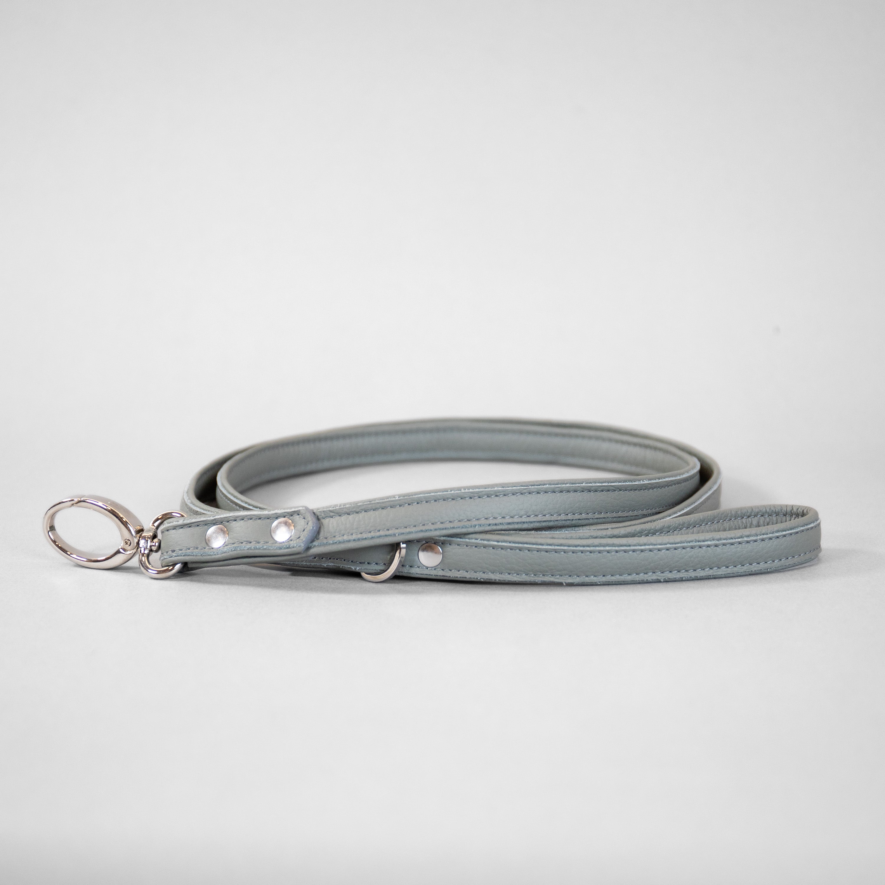 The Original Leash