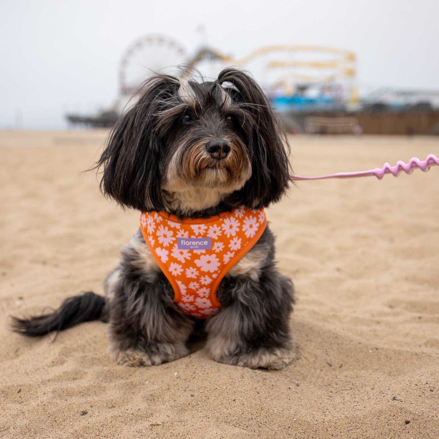 Florence Crossbody Leash