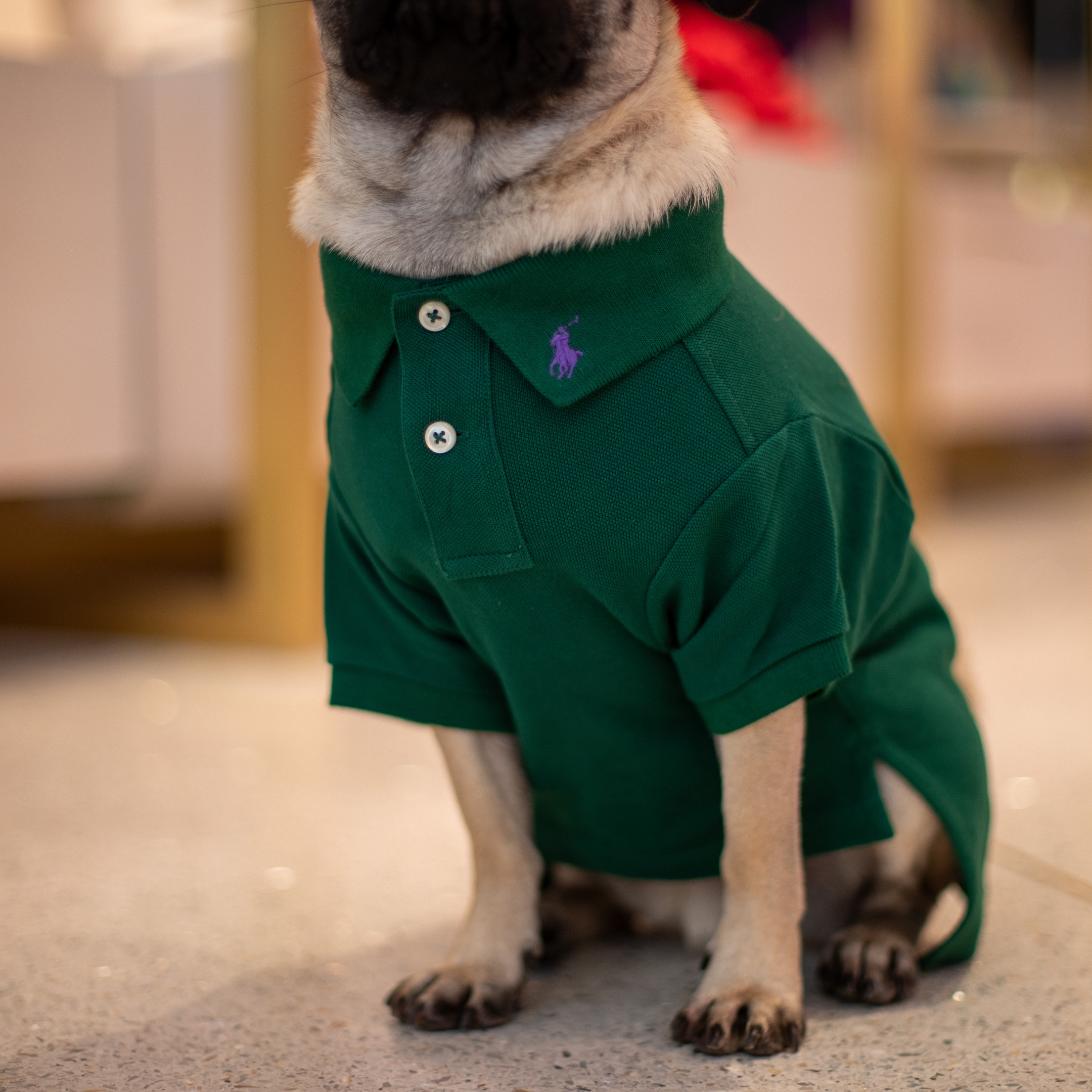 Ralph Lauren Classic Polo